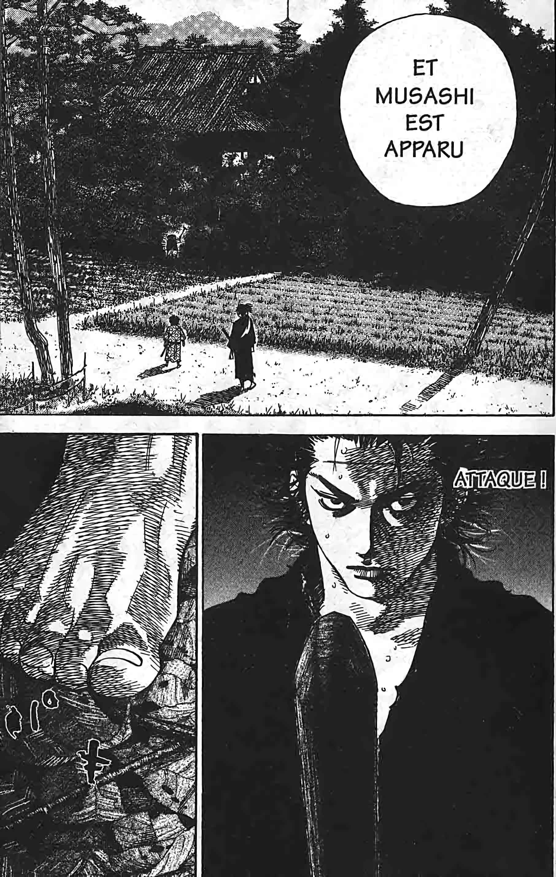 Read Vagabond FR Manga Online