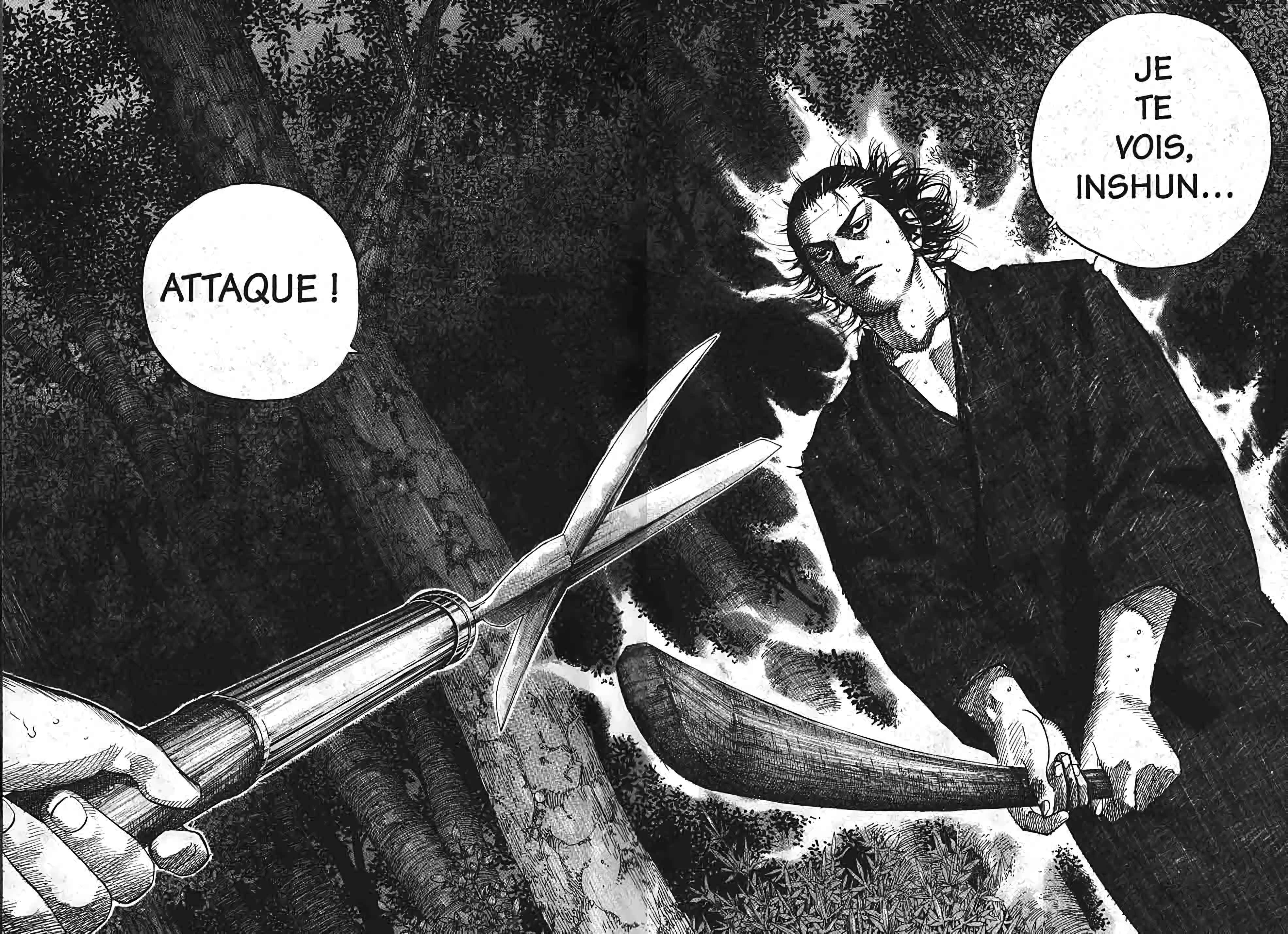 Read Vagabond FR Manga Online