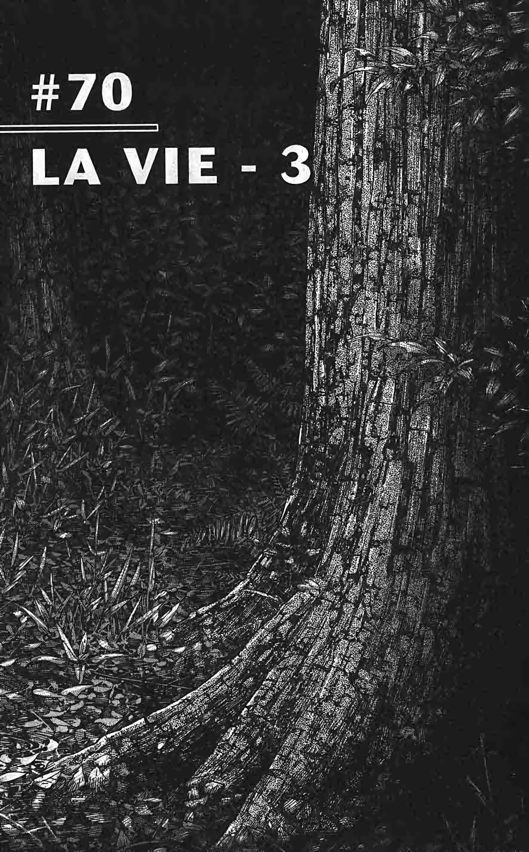 Read Vagabond FR Manga Online