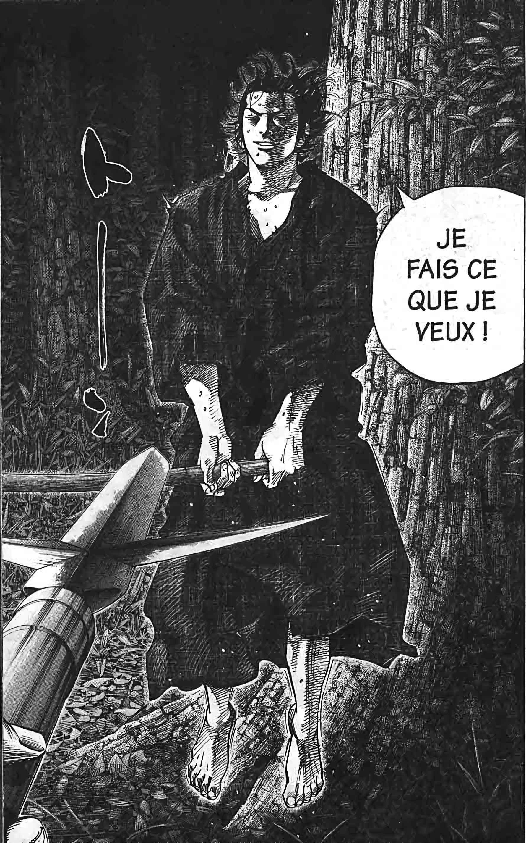 Read Vagabond FR Manga Online