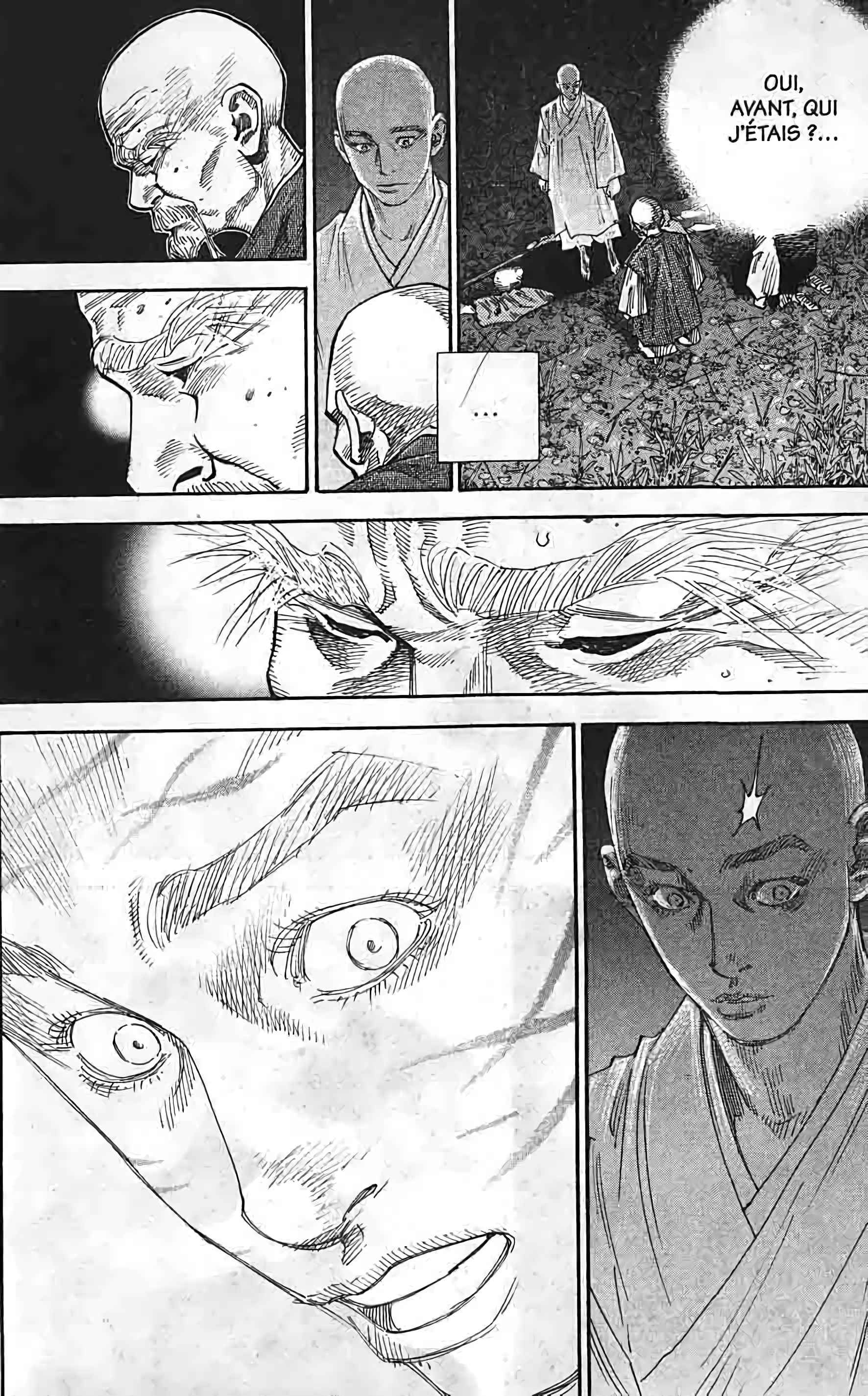 Read Vagabond FR Manga Online