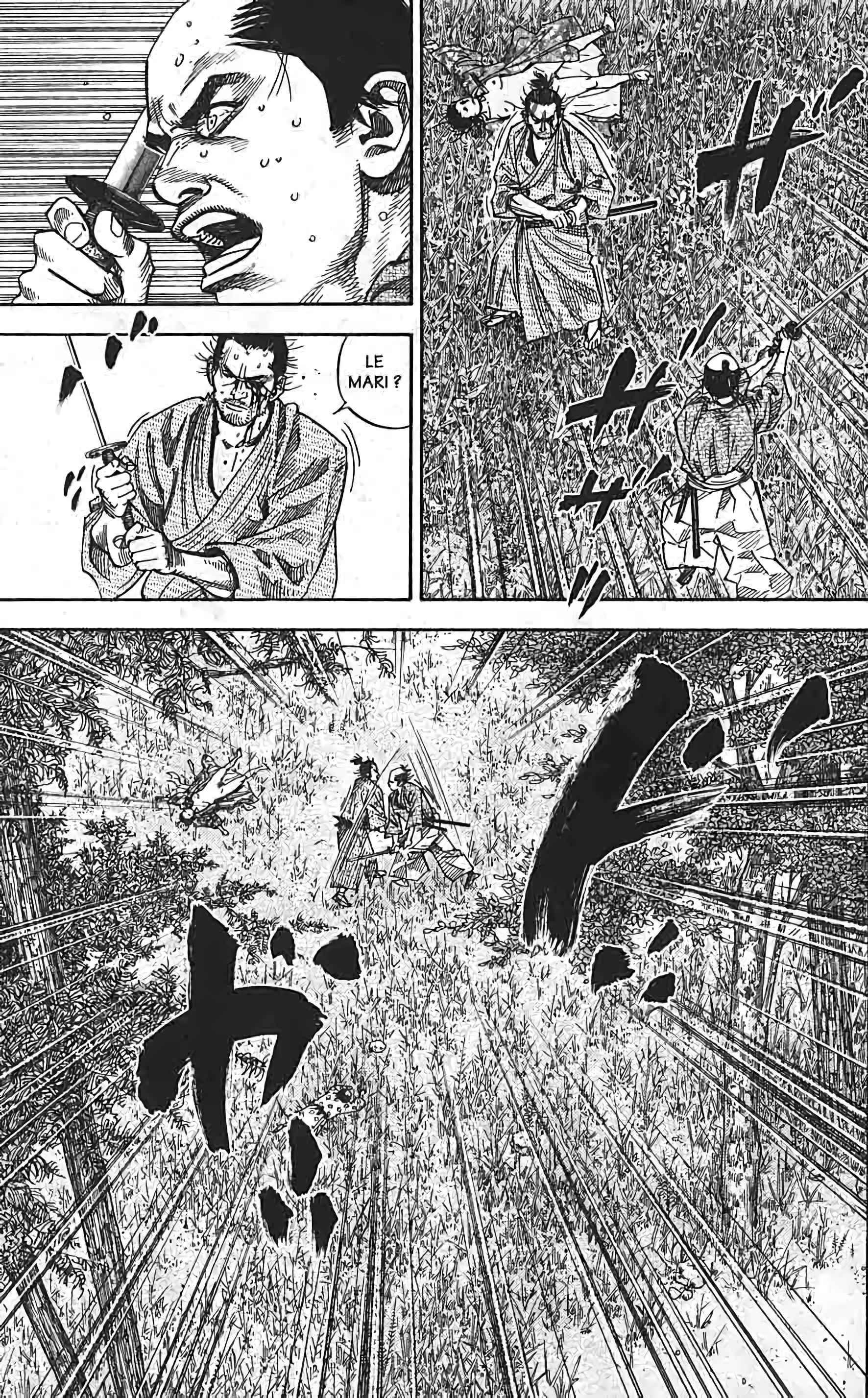 Read Vagabond FR Manga Online