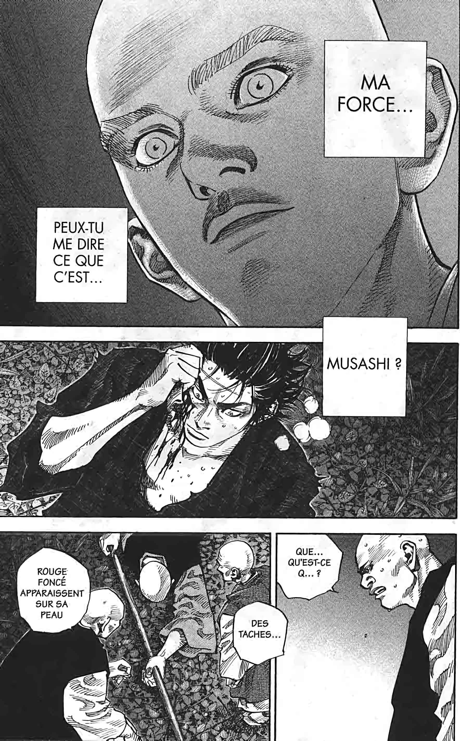 Read Vagabond FR Manga Online