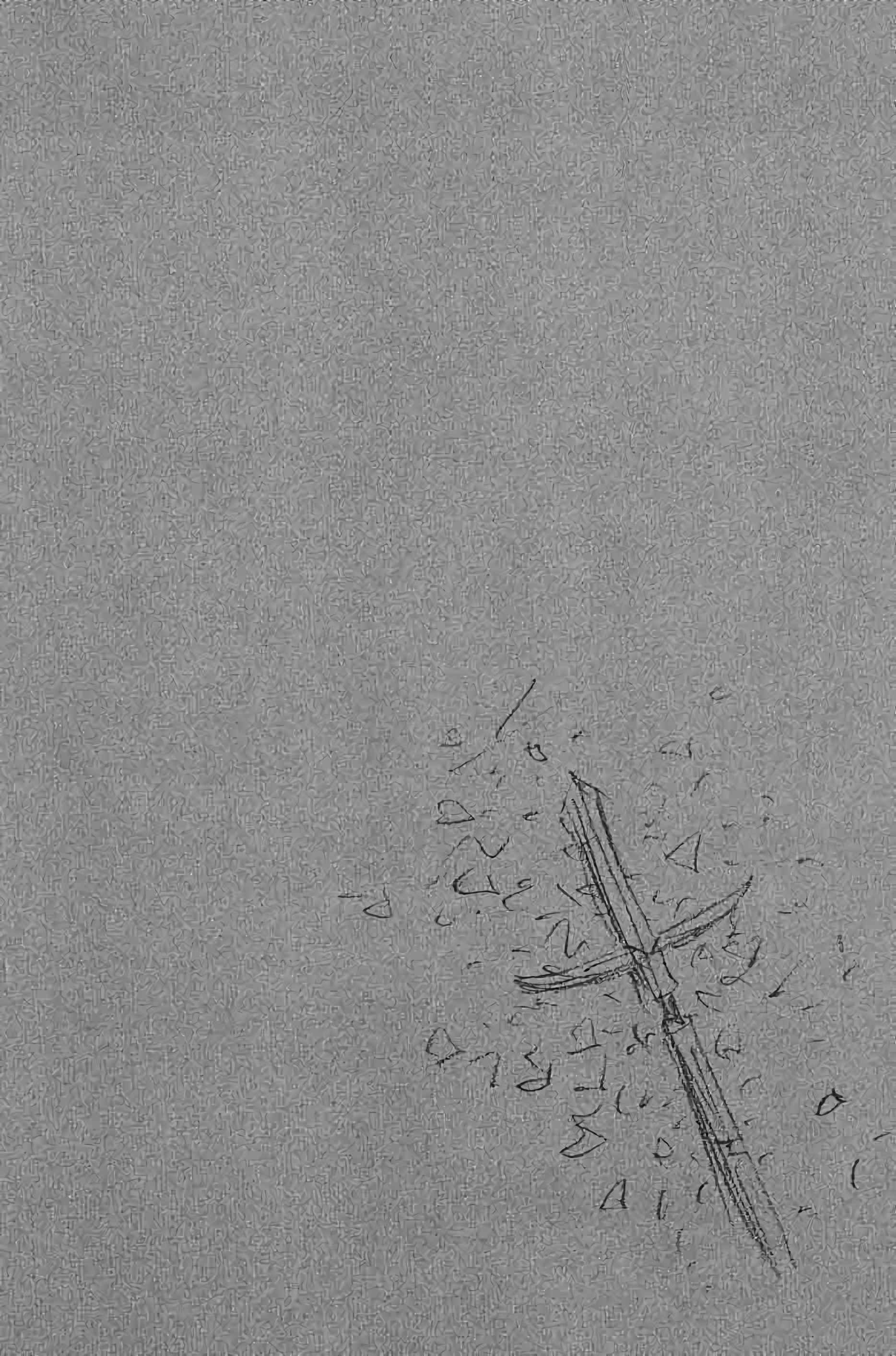 Read Vagabond FR Manga Online