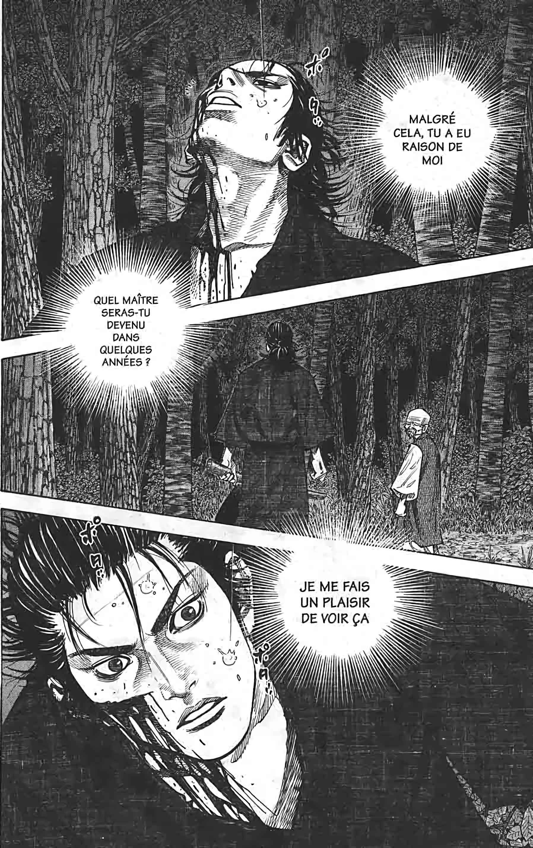 Read Vagabond FR Manga Online