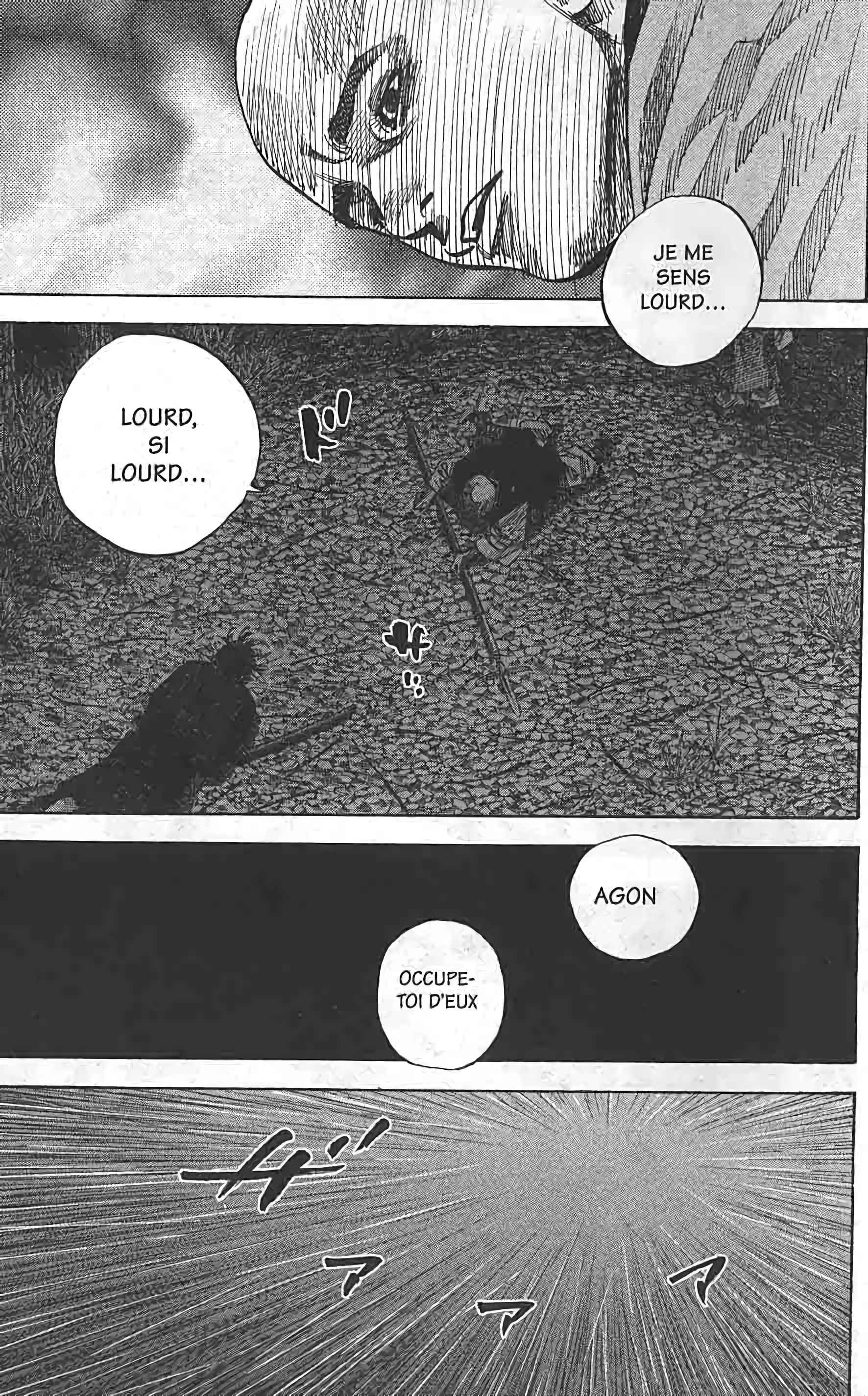 Read Vagabond FR Manga Online