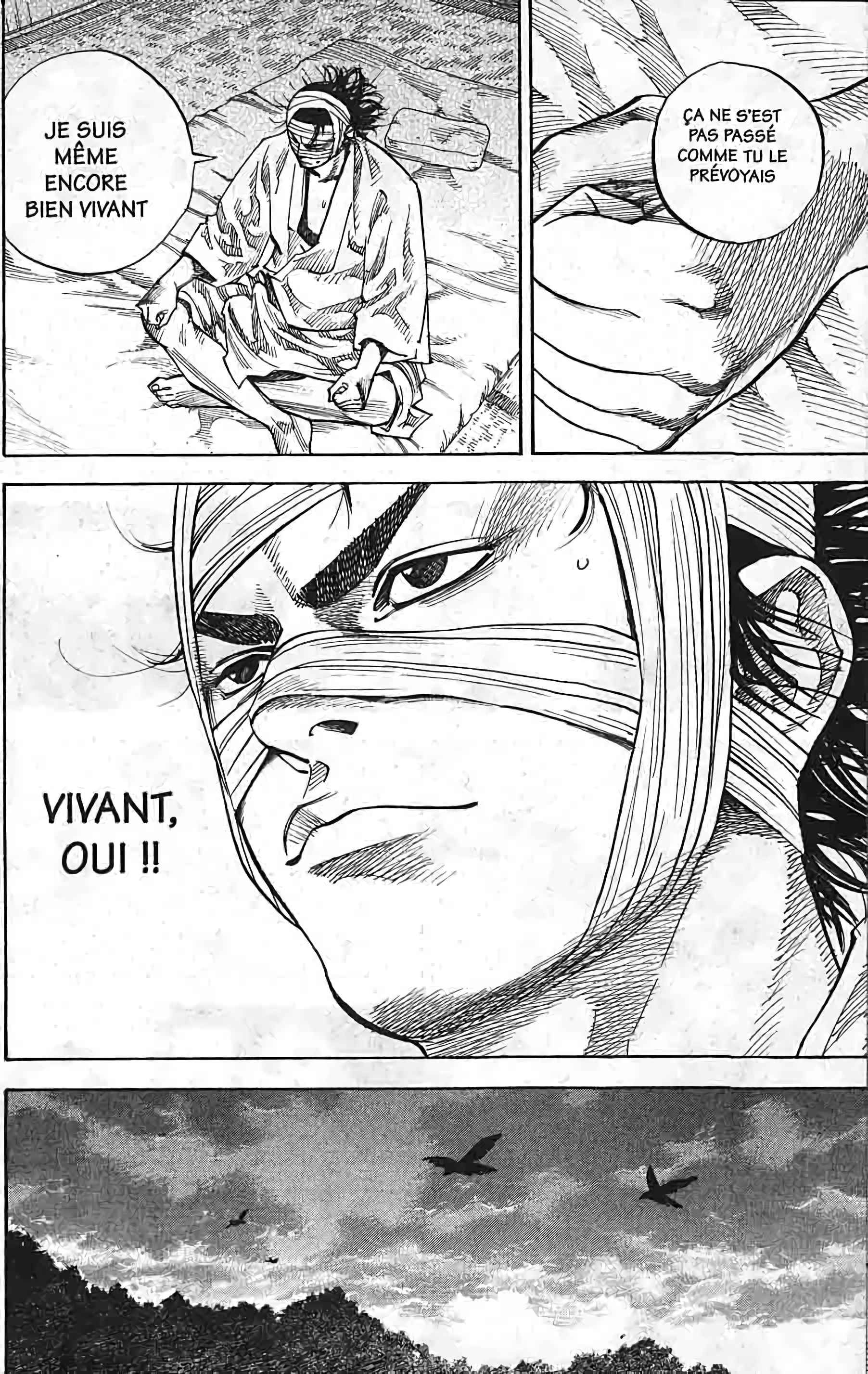 Read Vagabond FR Manga Online