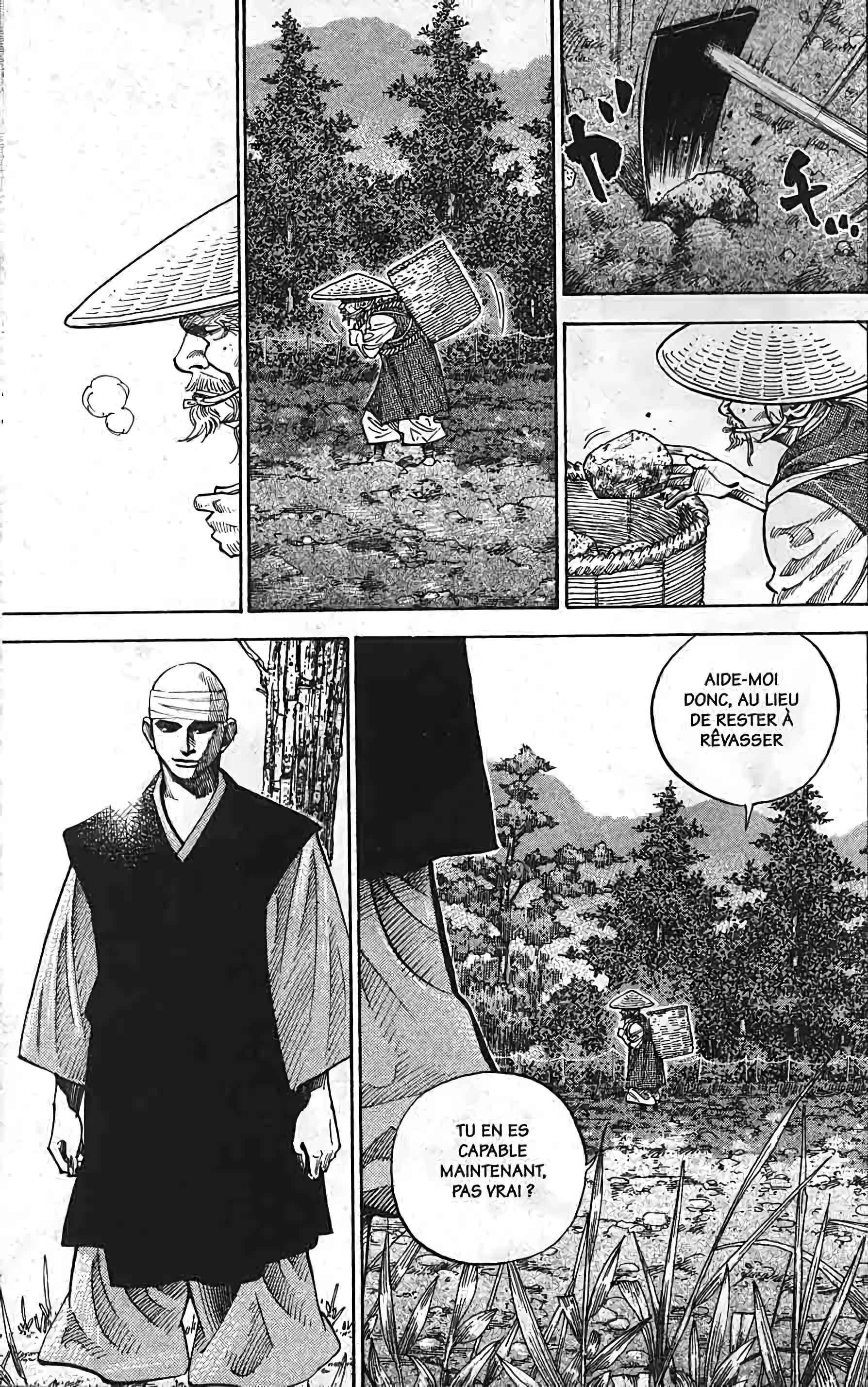 Read Vagabond FR Manga Online