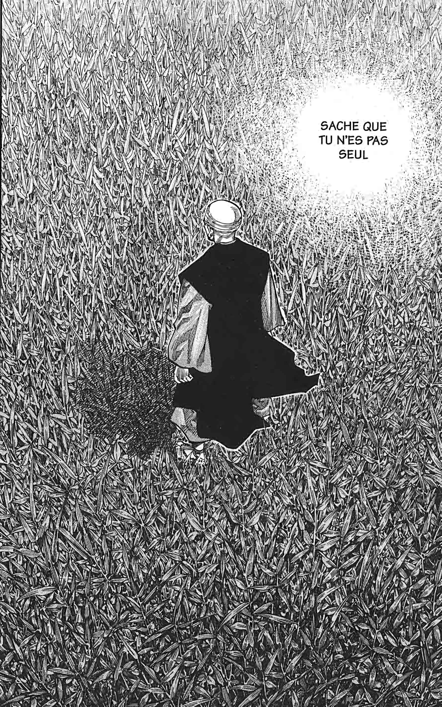 Read Vagabond FR Manga Online