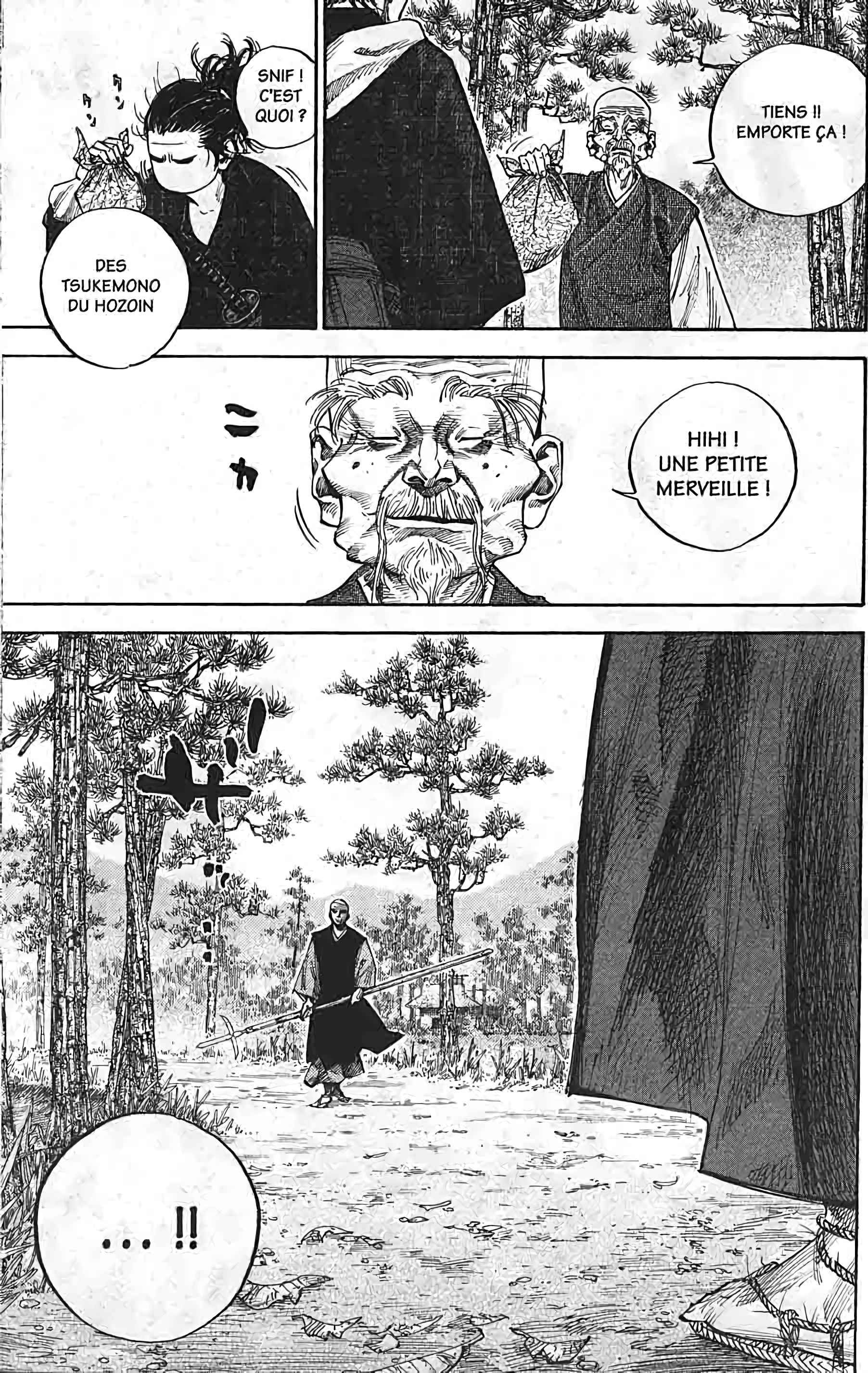 Read Vagabond FR Manga Online