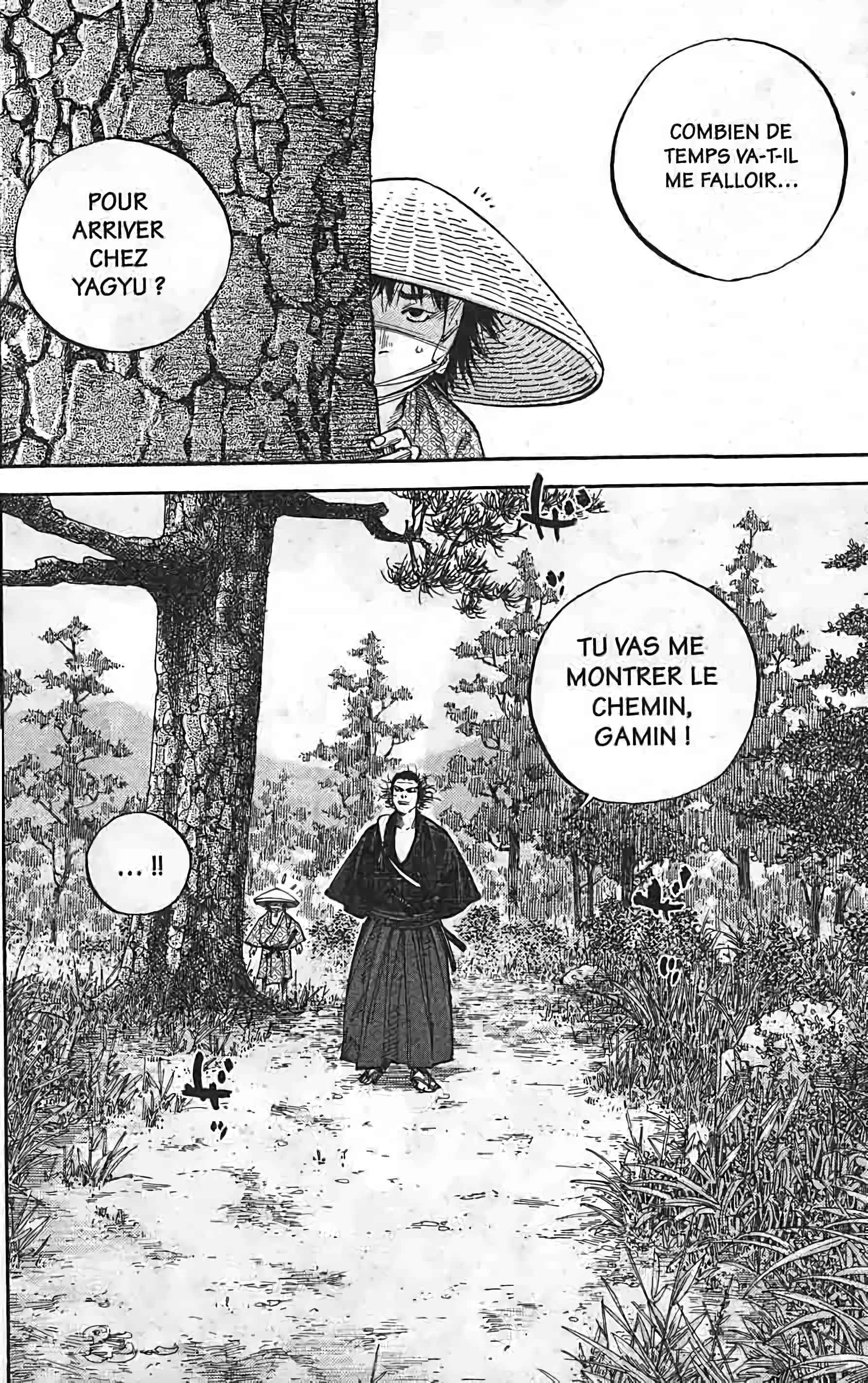 Read Vagabond FR Manga Online