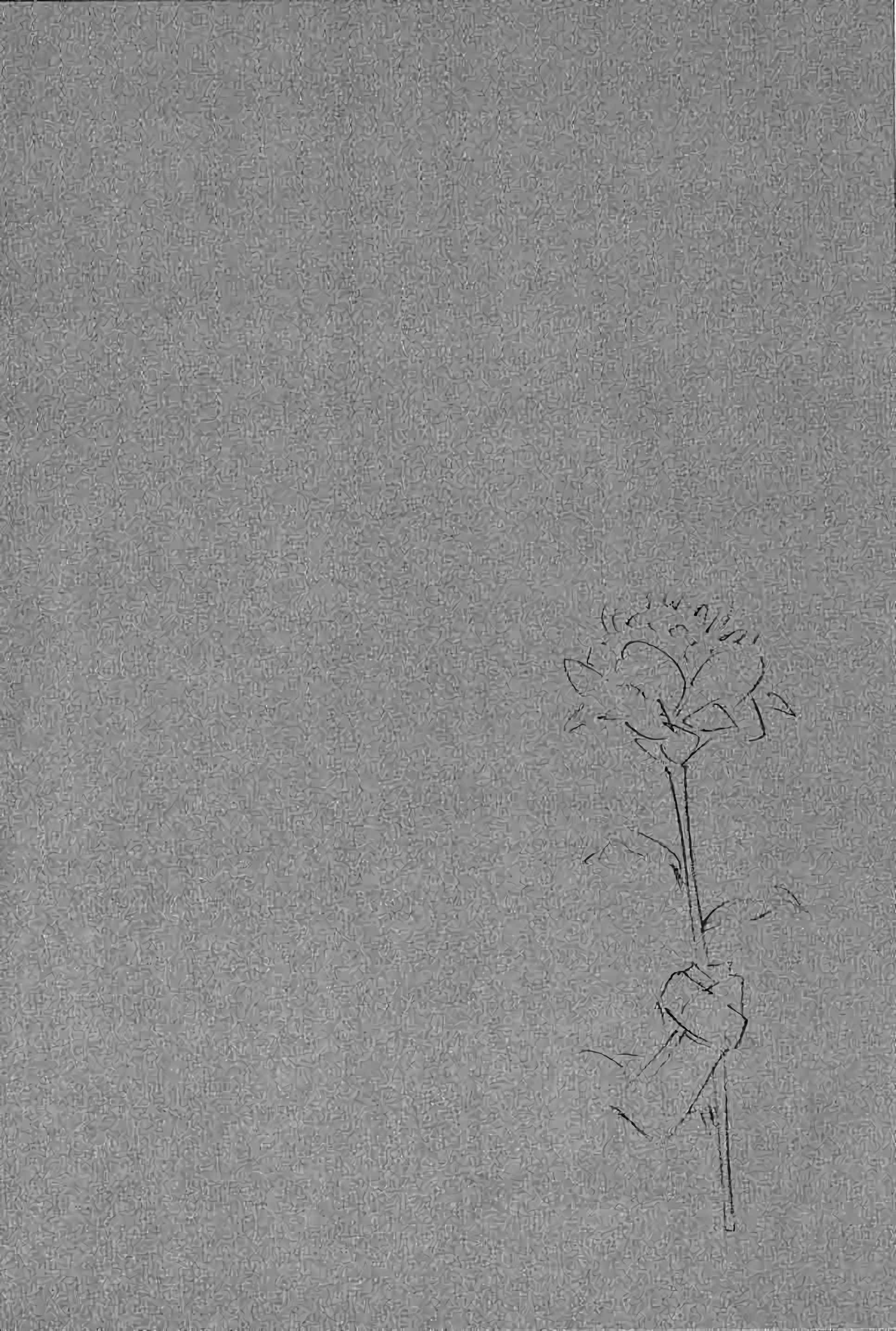 Read Vagabond FR Manga Online