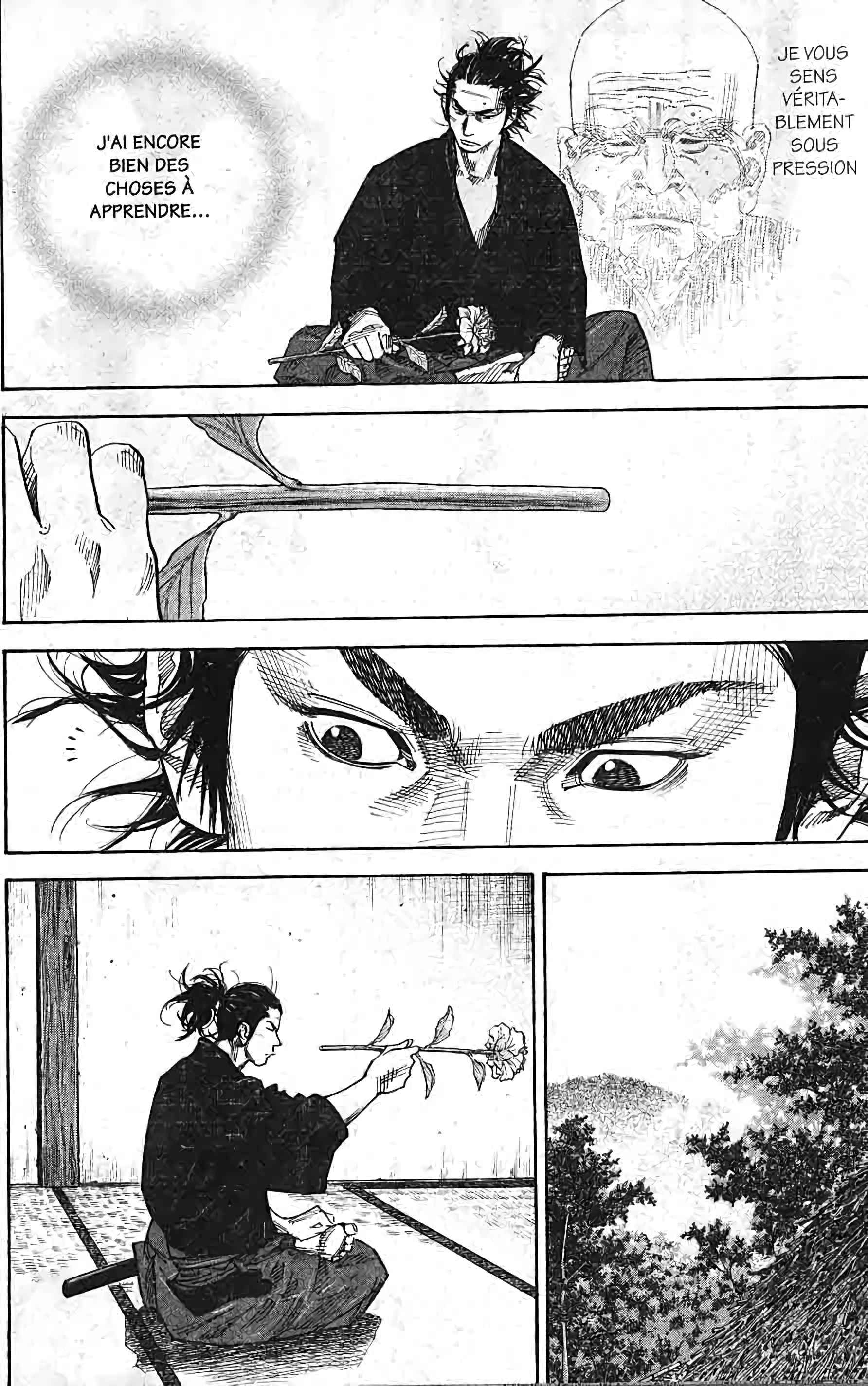 Read Vagabond FR Manga Online