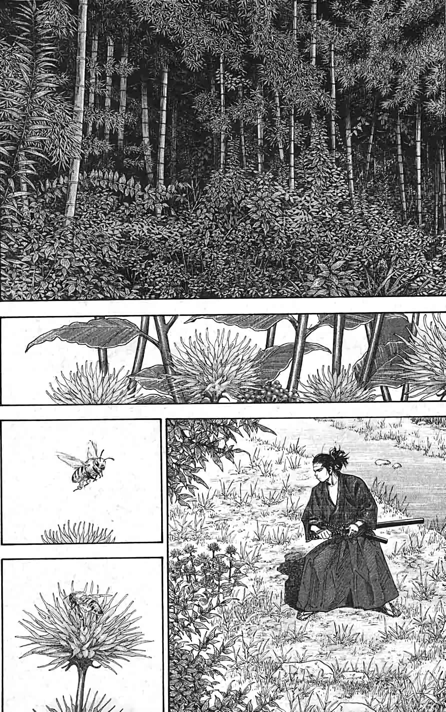 Read Vagabond FR Manga Online