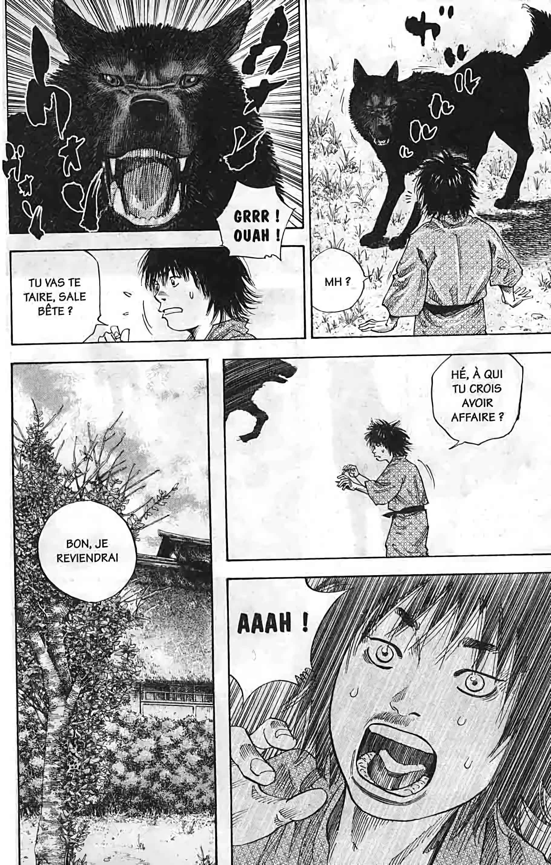 Read Vagabond FR Manga Online