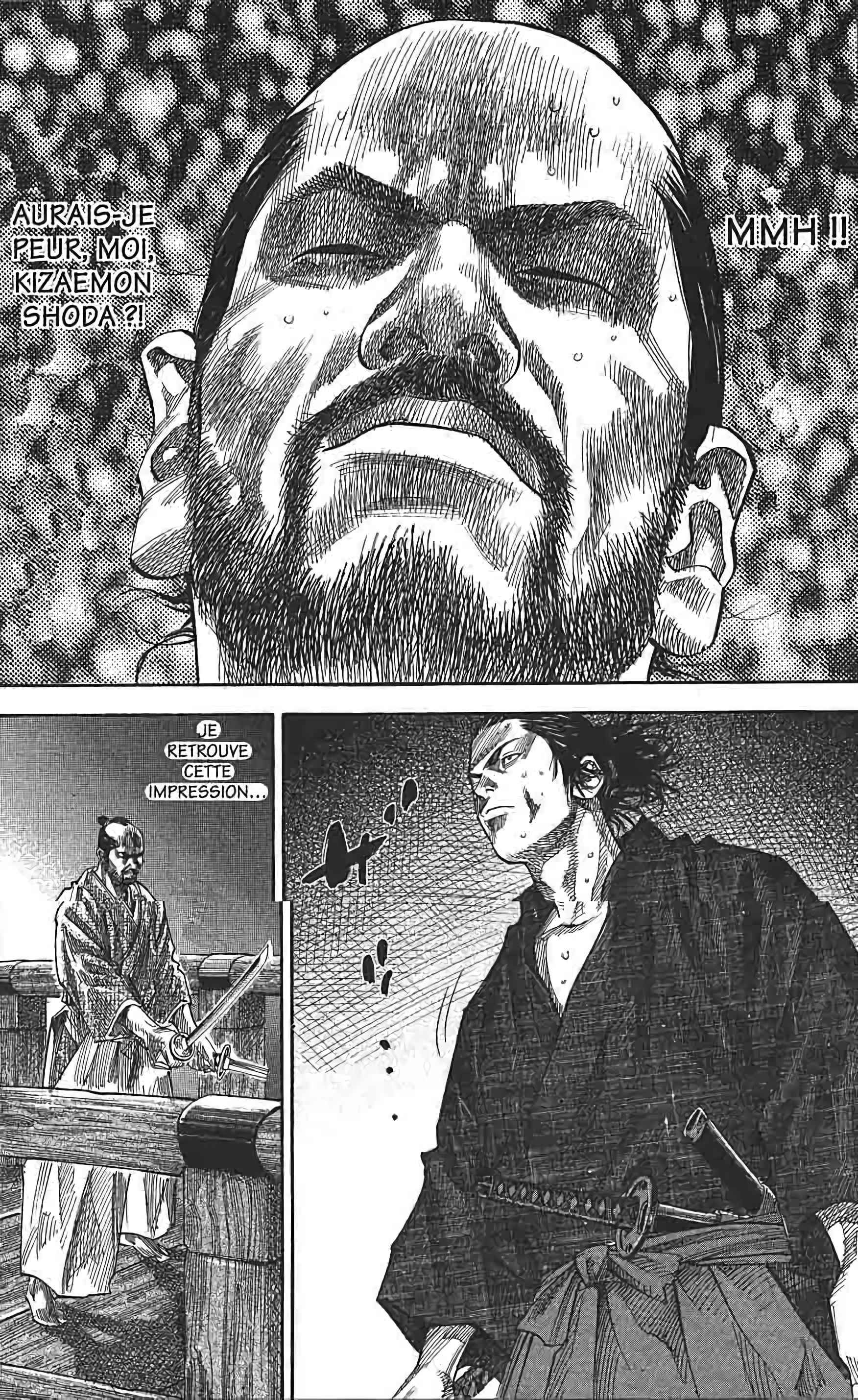 Read Vagabond FR Manga Online