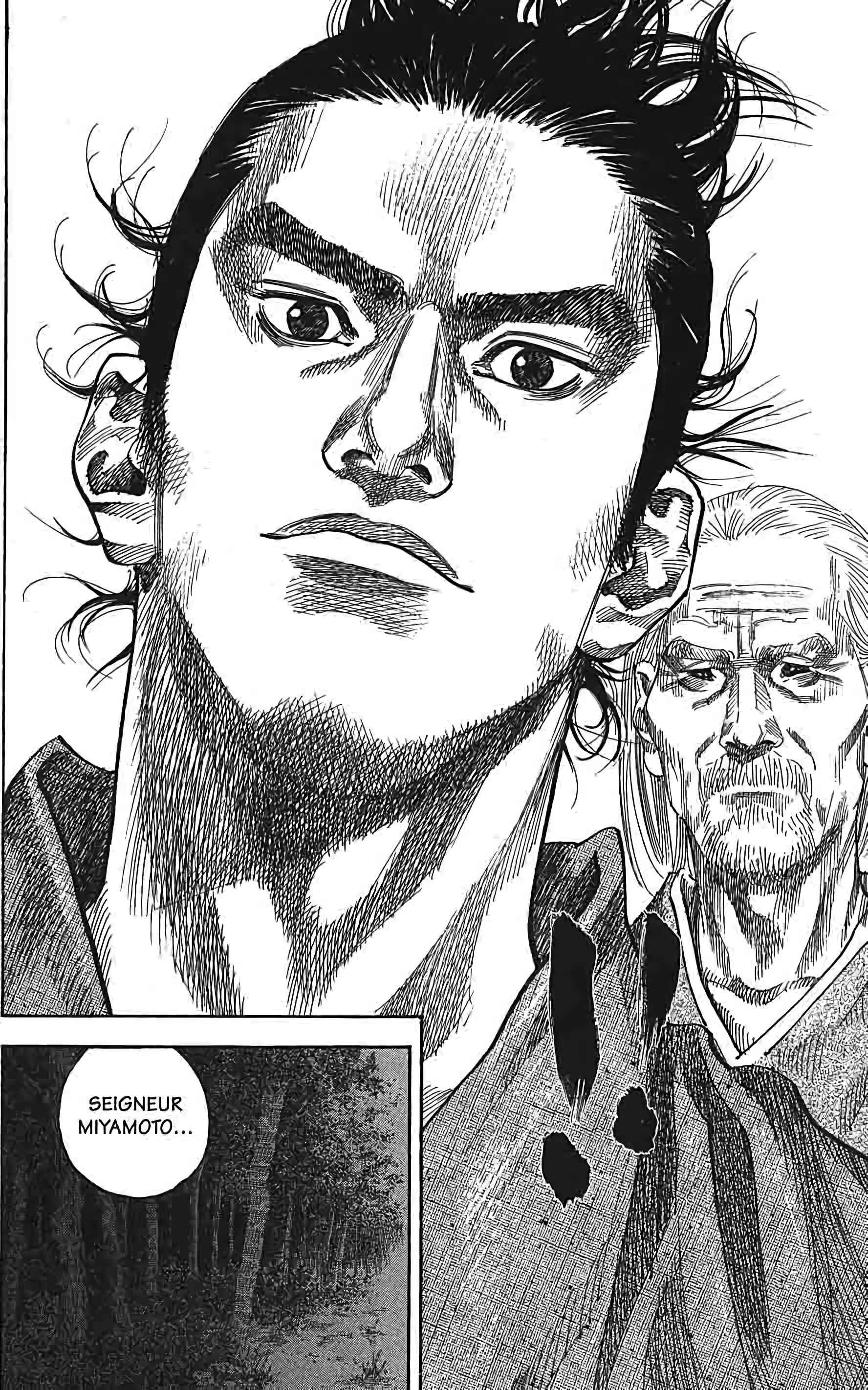 Read Vagabond FR Manga Online
