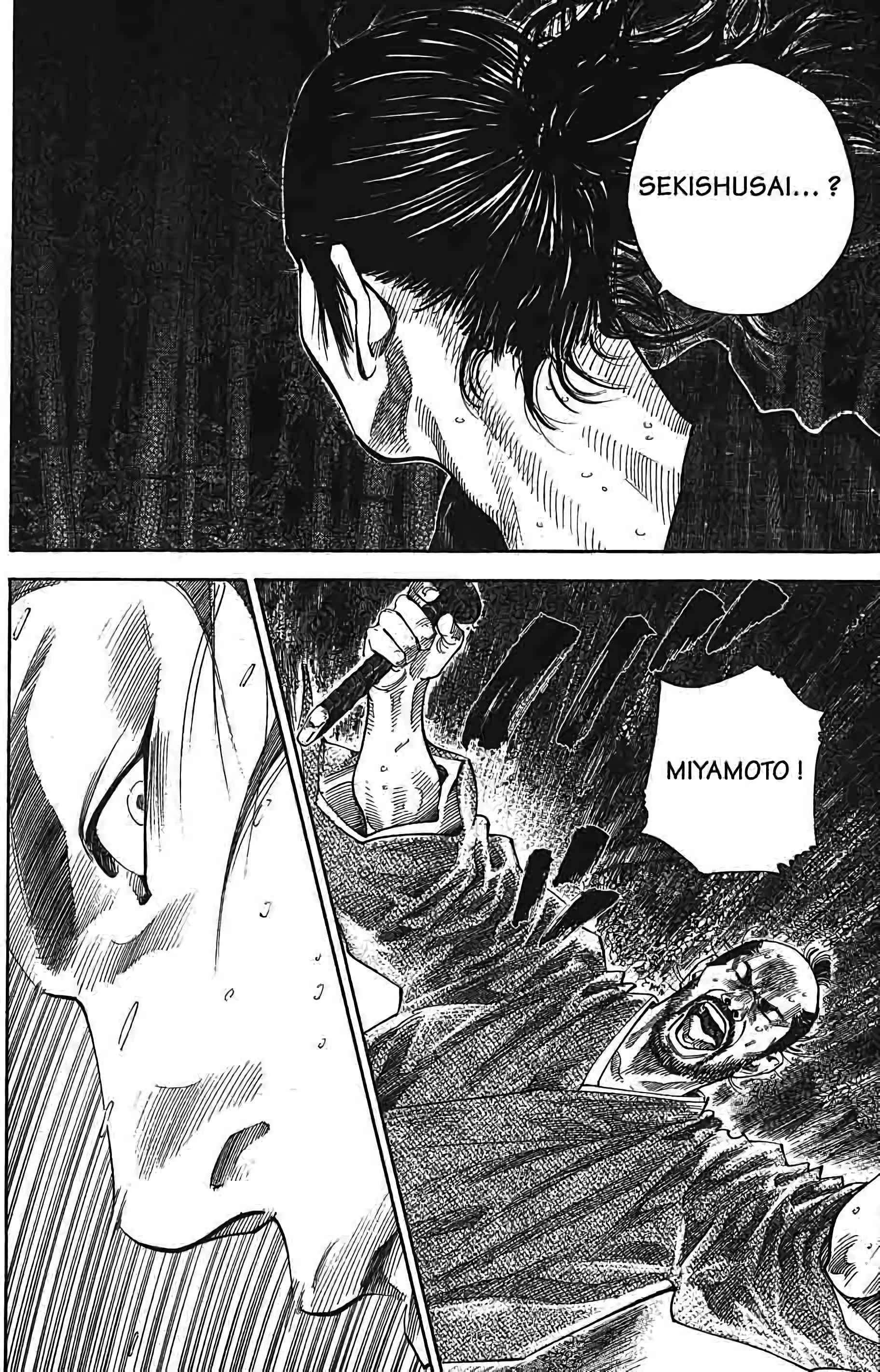 Read Vagabond FR Manga Online