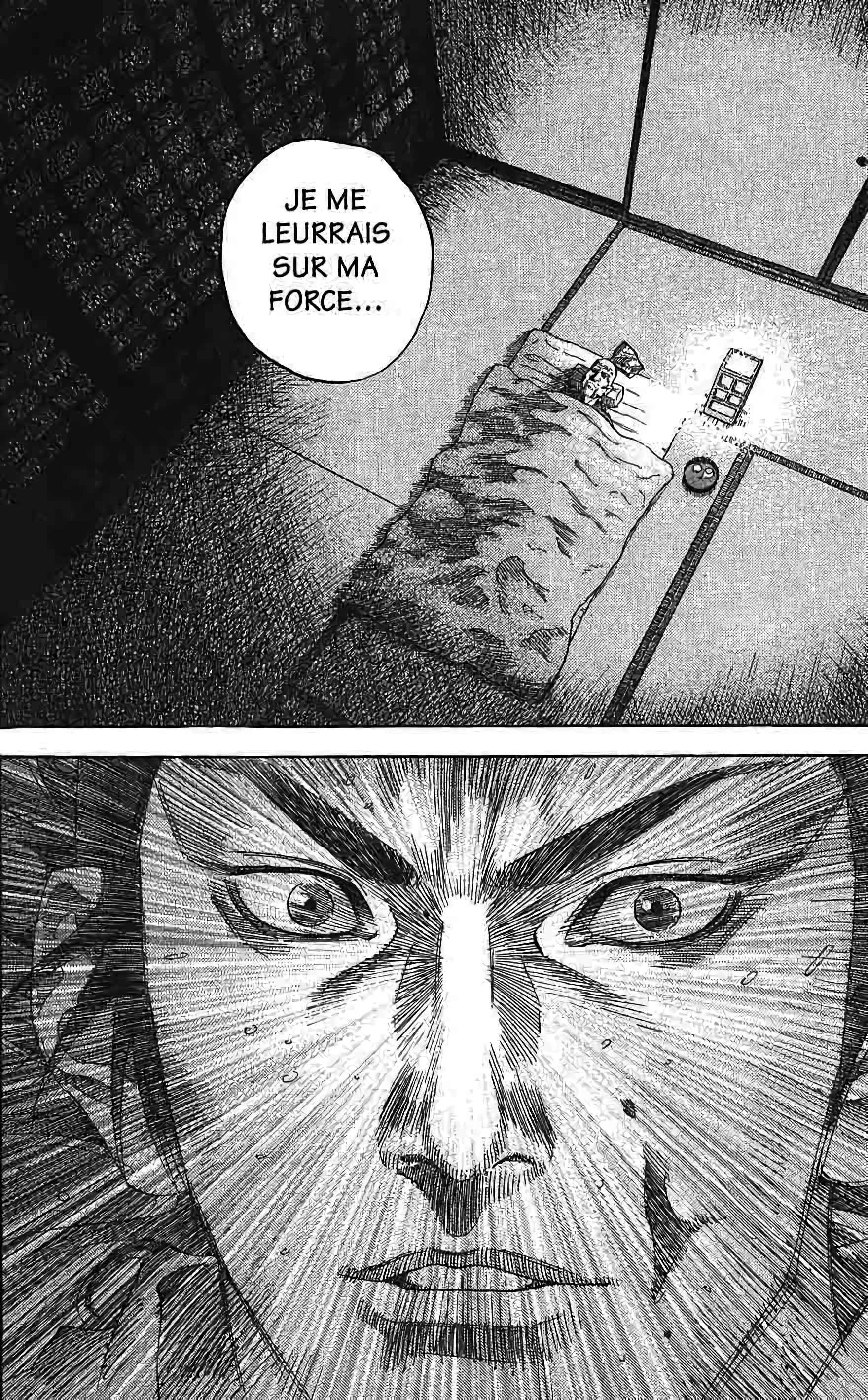 Read Vagabond FR Manga Online