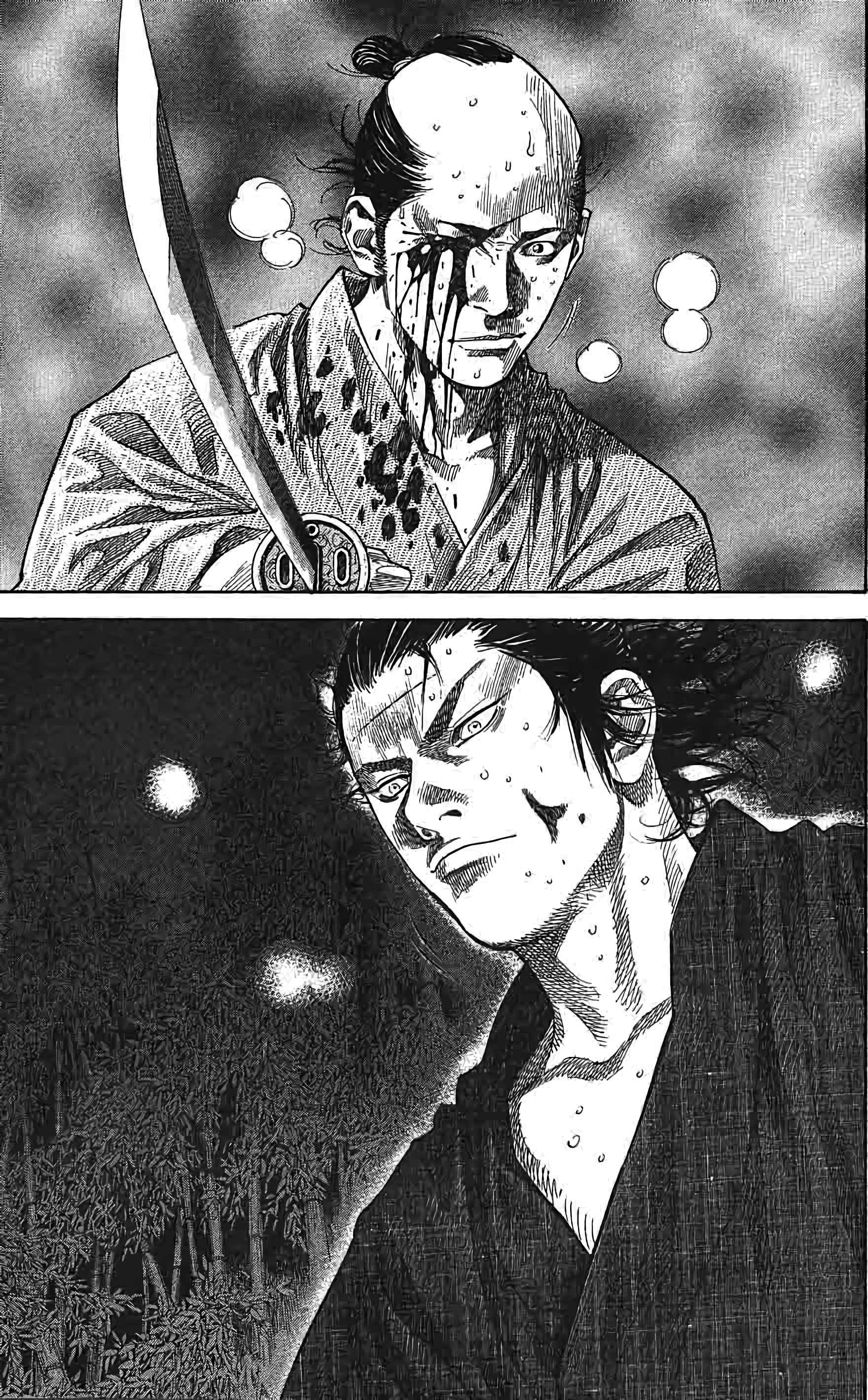 Read Vagabond FR Manga Online