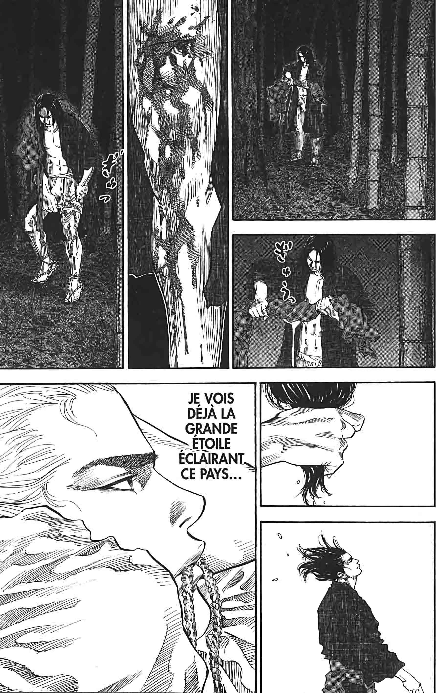 Read Vagabond FR Manga Online