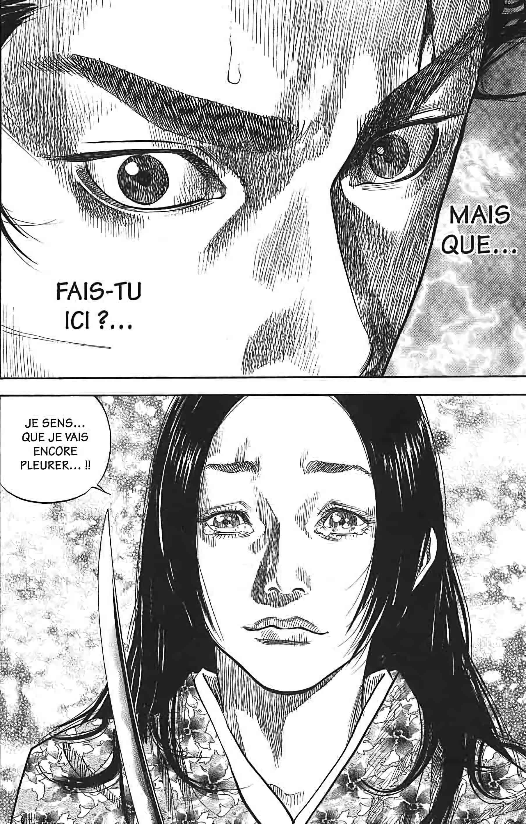 Read Vagabond FR Manga Online