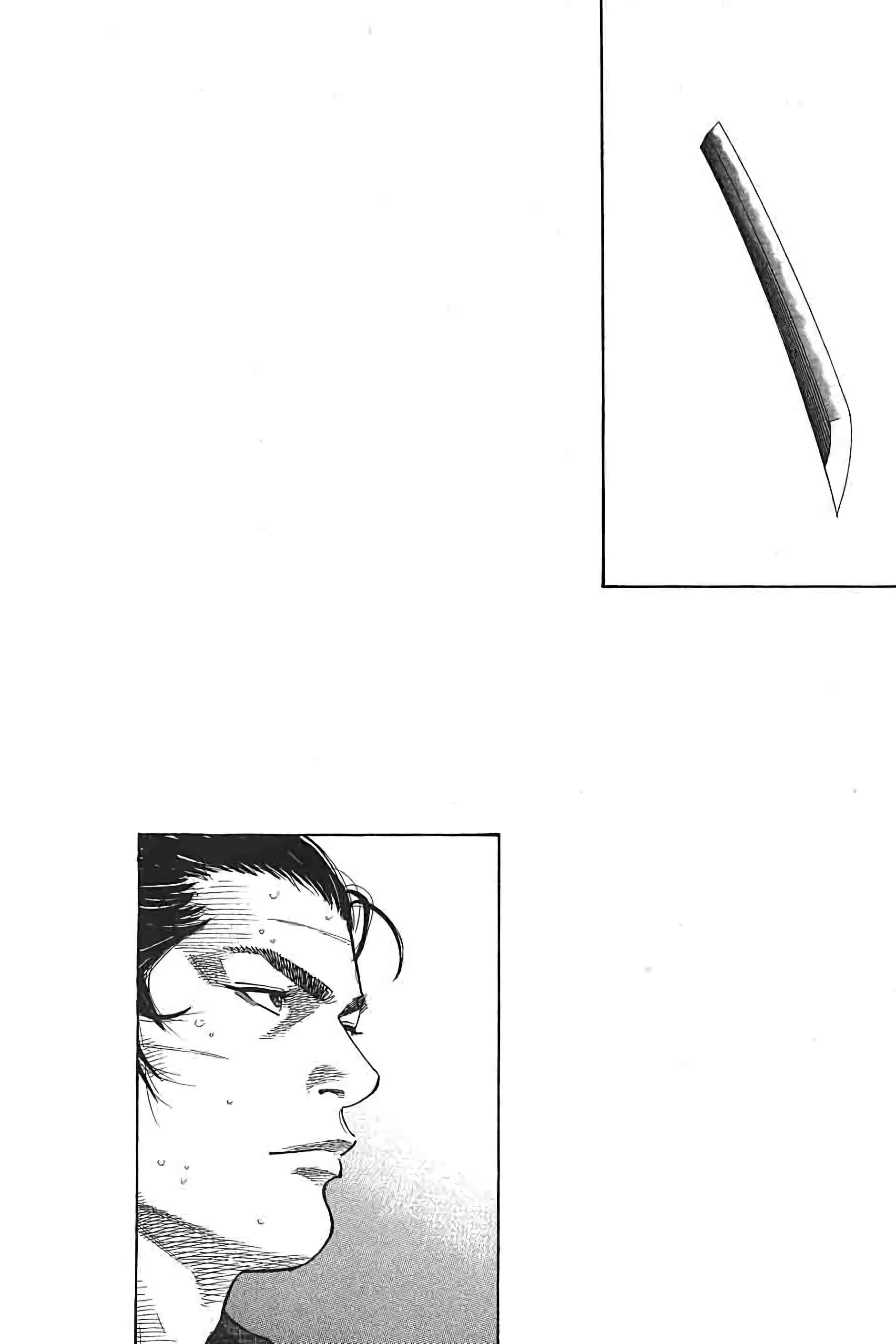 Read Vagabond FR Manga Online