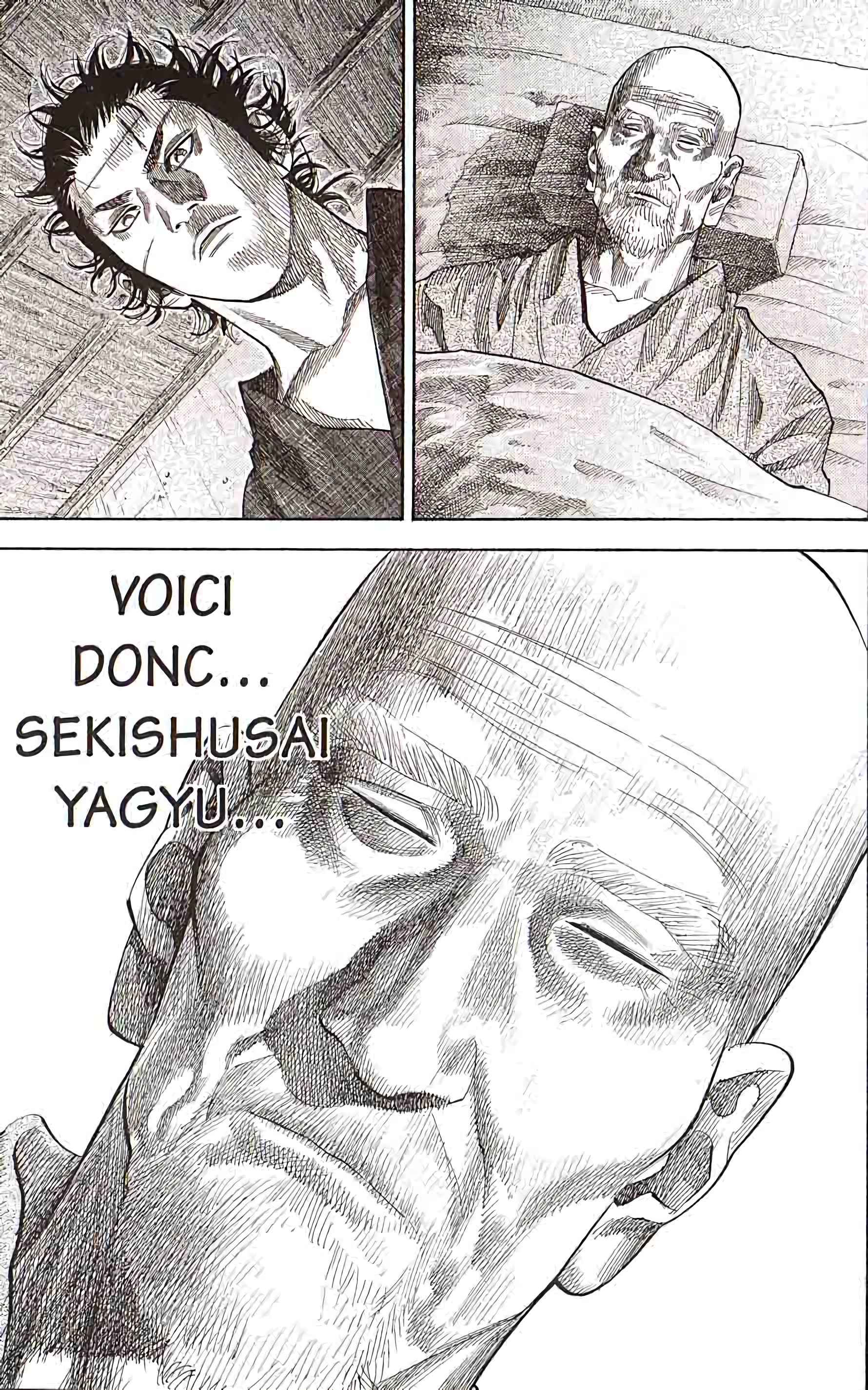 Read Vagabond FR Manga Online