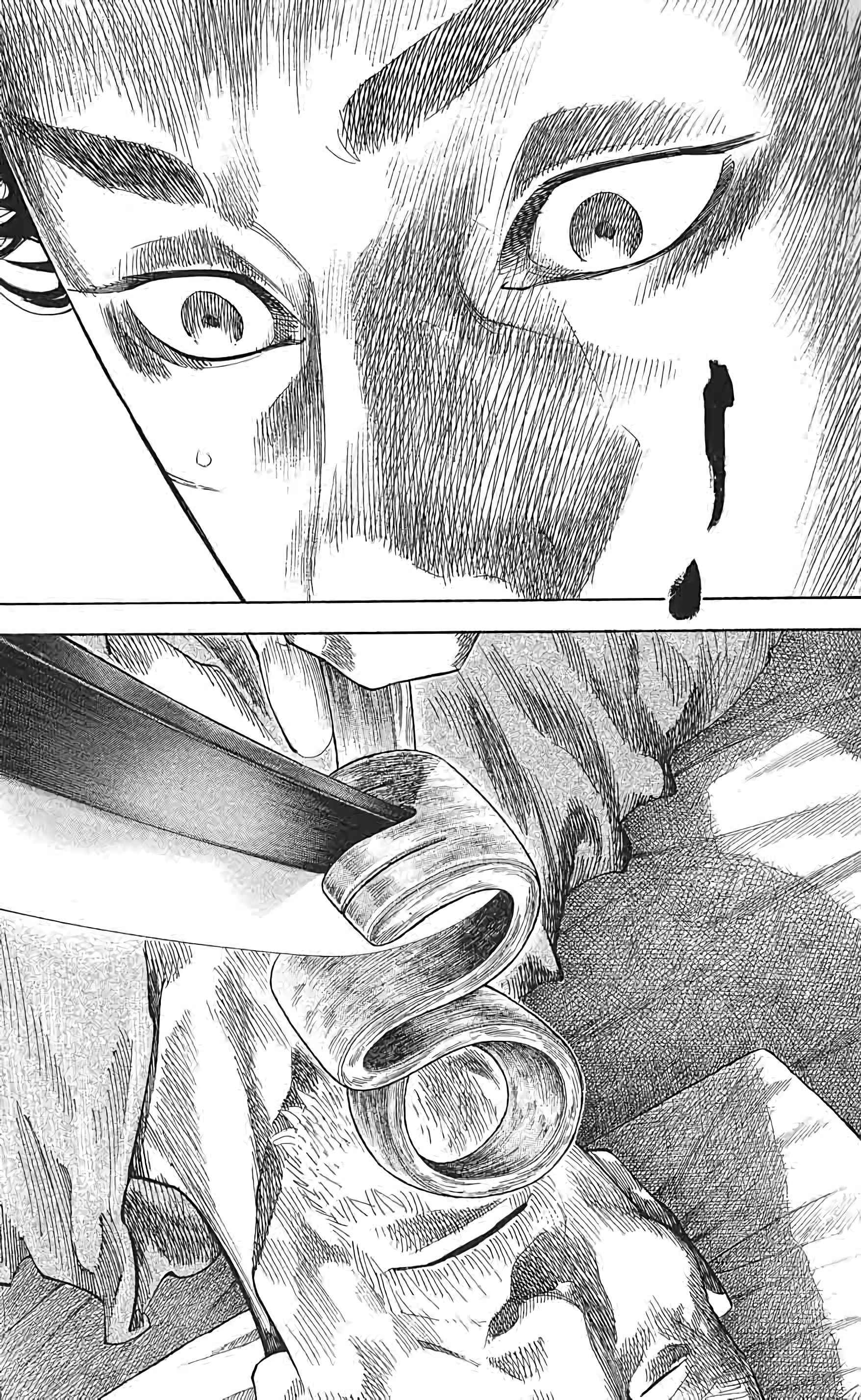 Read Vagabond FR Manga Online