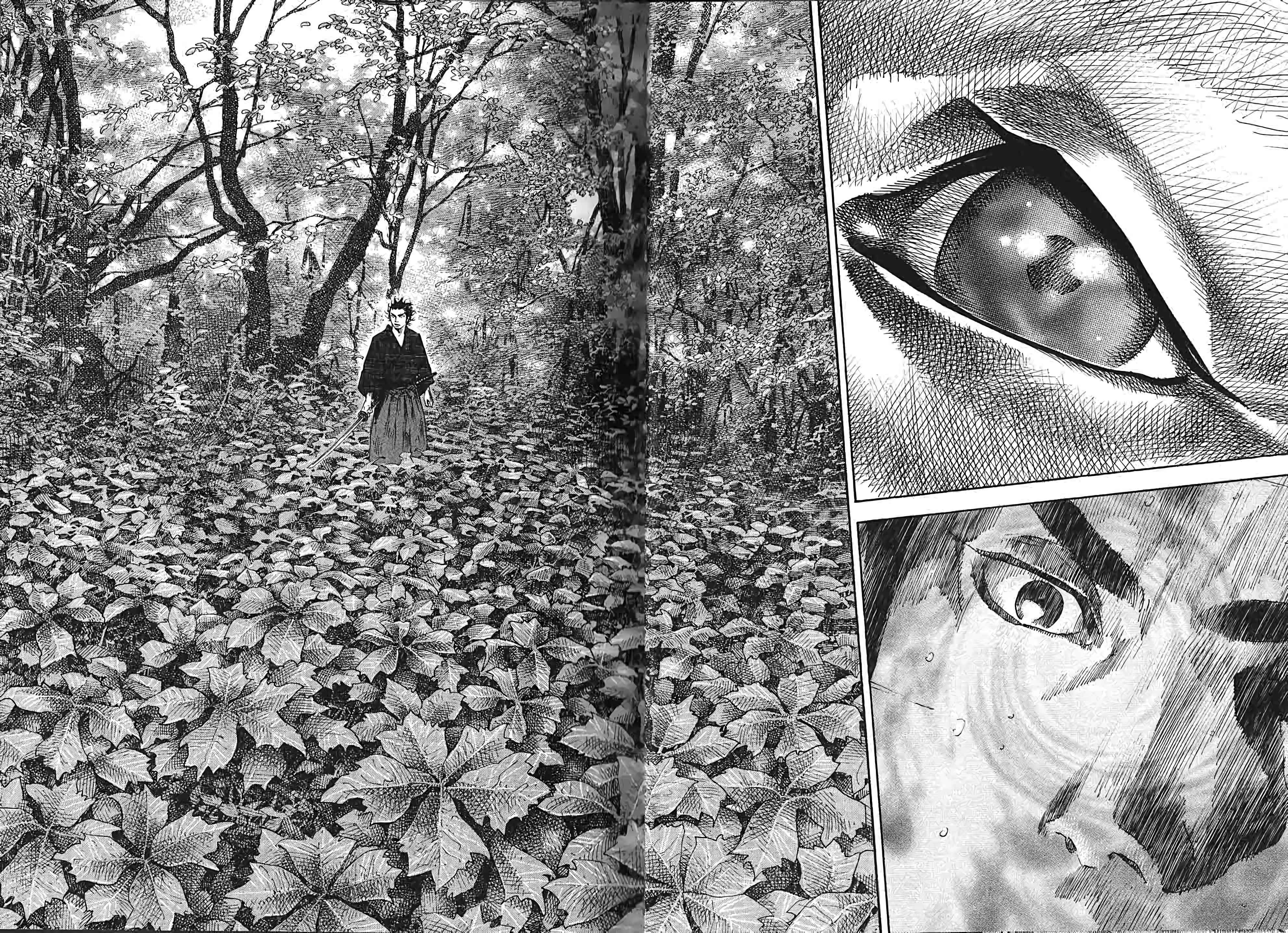 Read Vagabond FR Manga Online