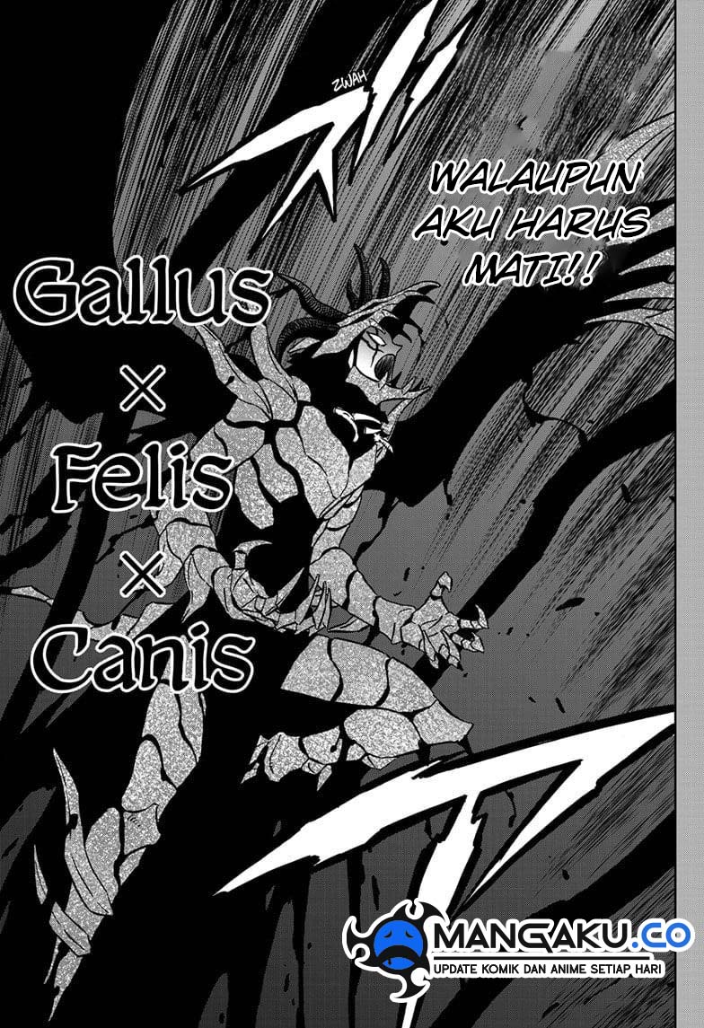 Read Black Clover Bahasa Indonesia (ID) Manga Online