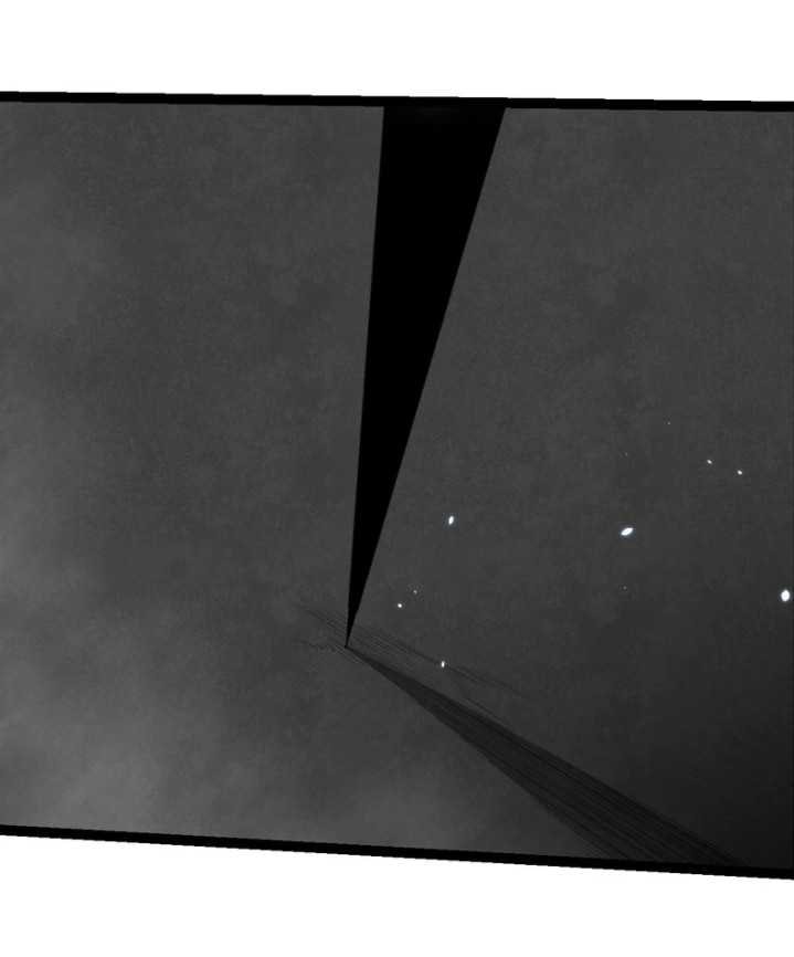 Read Evolution Begins With A Big Tree (ID) Manga Online