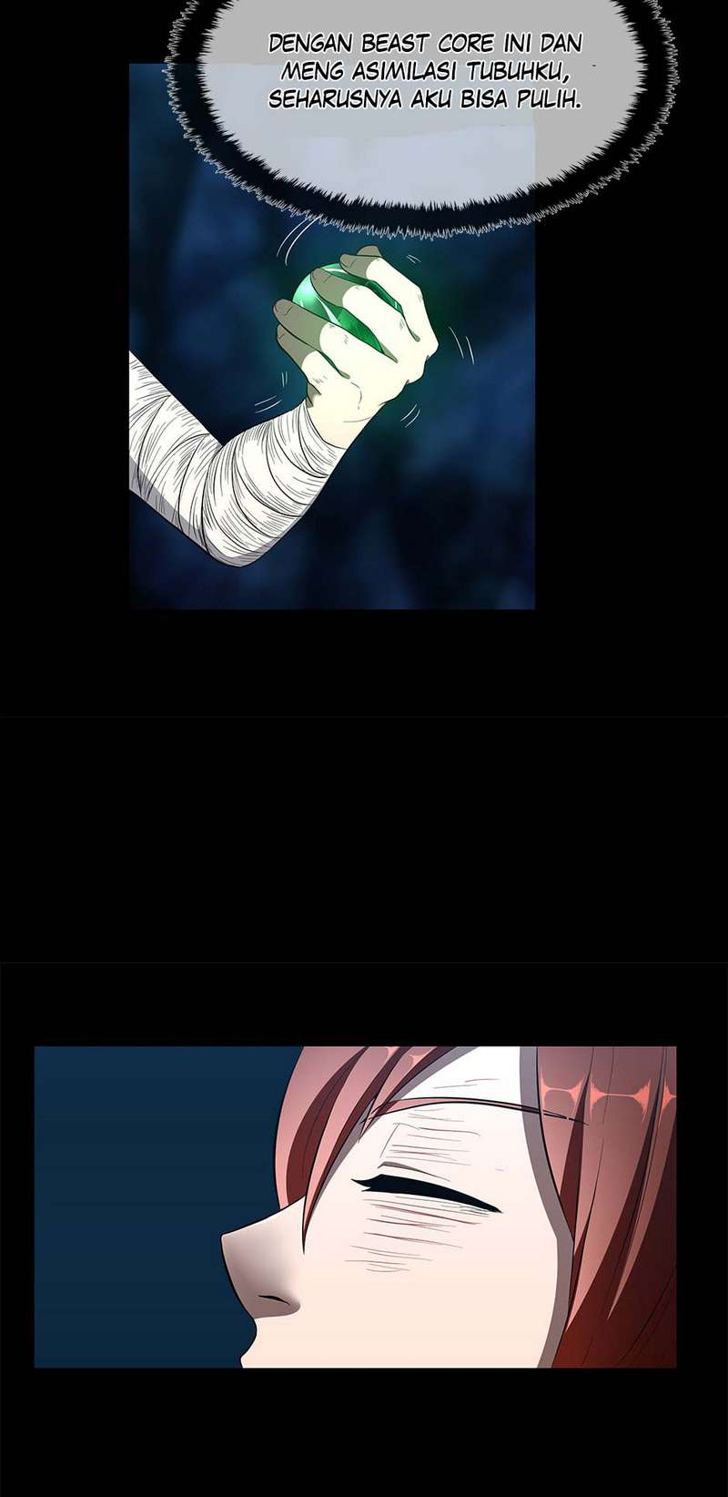 Read The Beginning After the End (ID) Manga Online