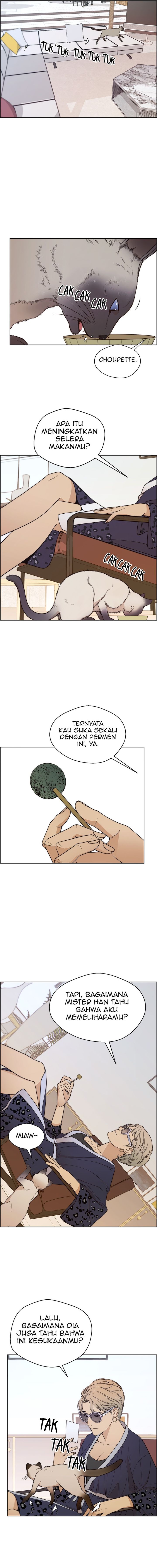 Read The Man Bahasa Indonesia (ID) Manga Online