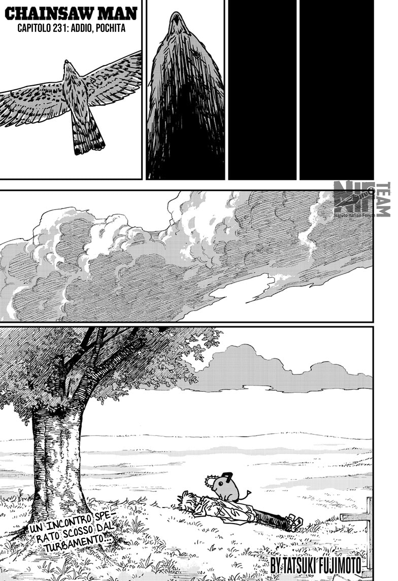 Read Chainsaw Man (IT) Manga Online