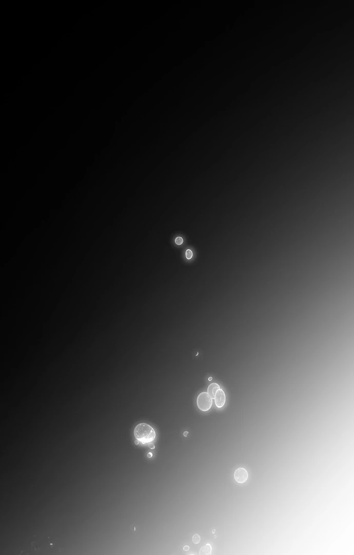 Read Omniscient Reader's Viewpoint (IT) Manga Online