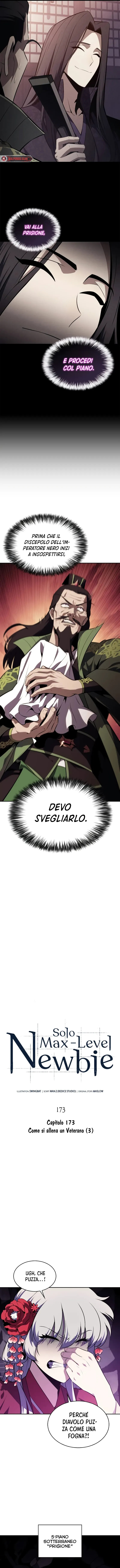 Read Solo Max Level Newbie (IT) Manga Online