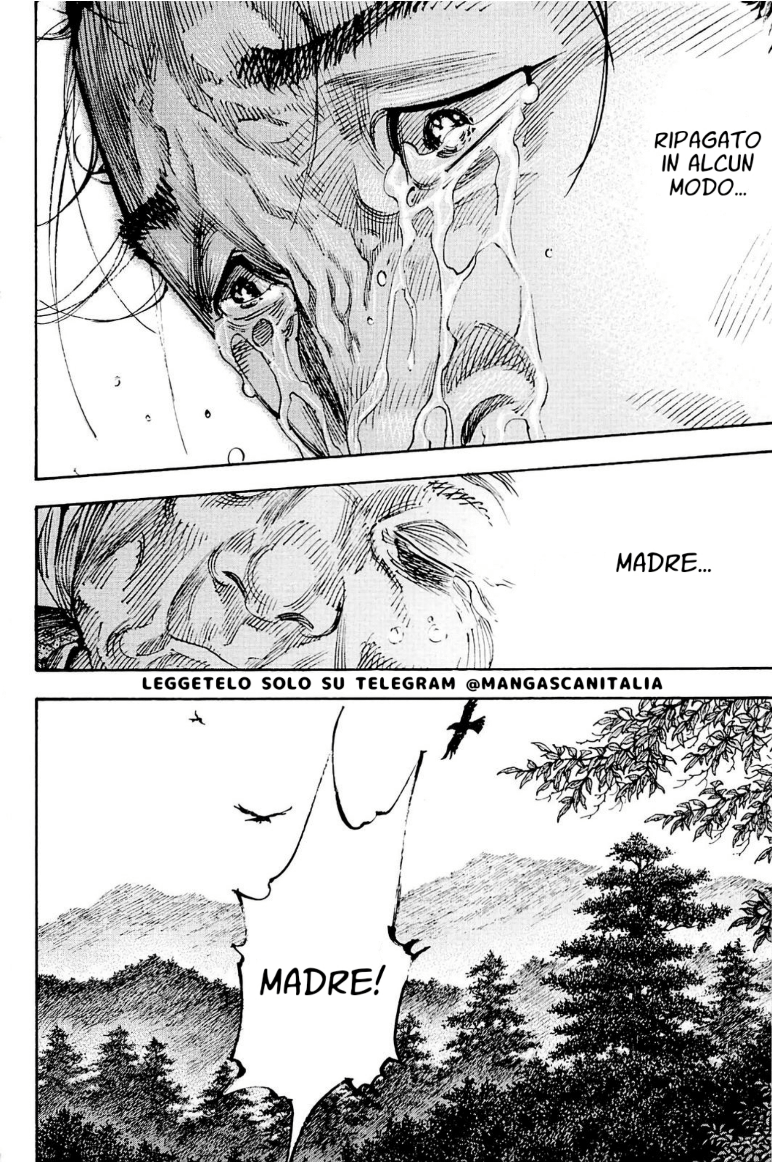 Read Vagabond (IT) Manga Online
