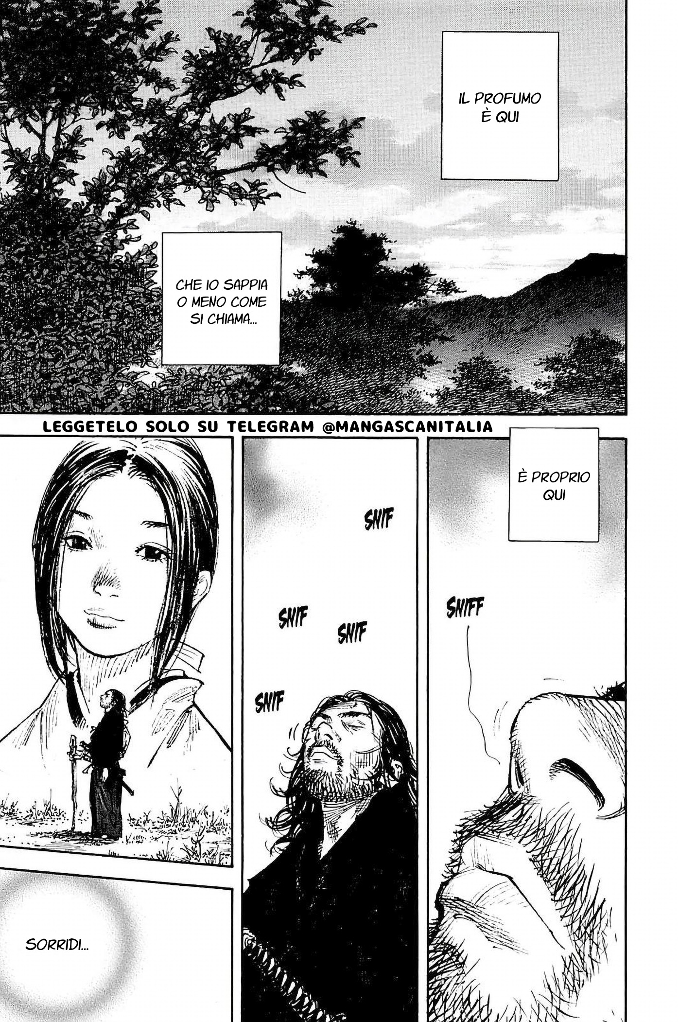 Read Vagabond (IT) Manga Online
