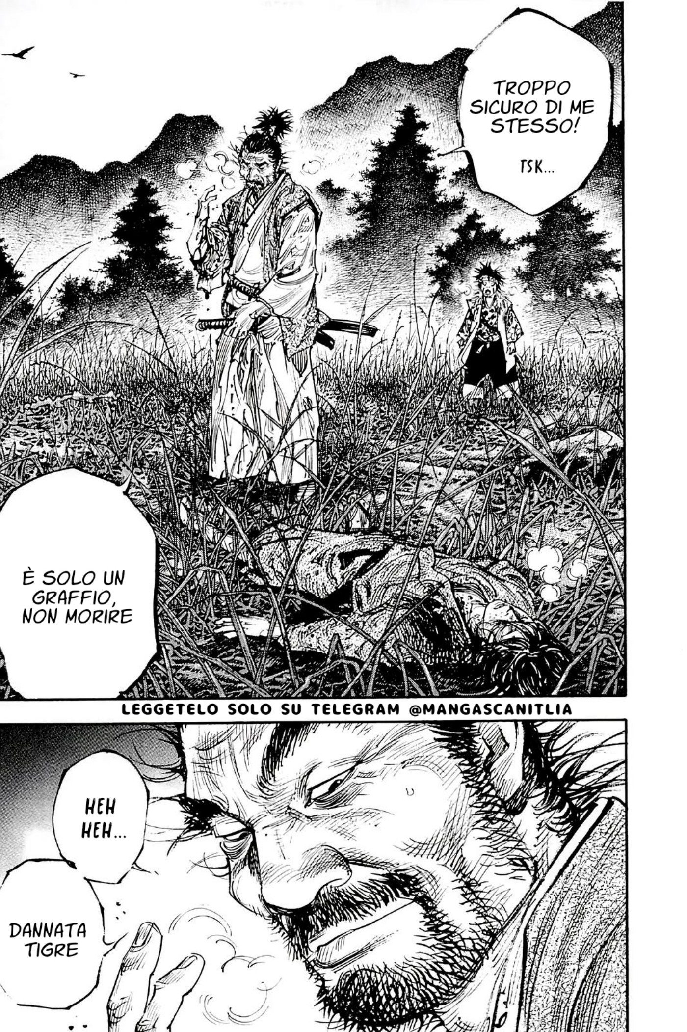 Read Vagabond (IT) Manga Online