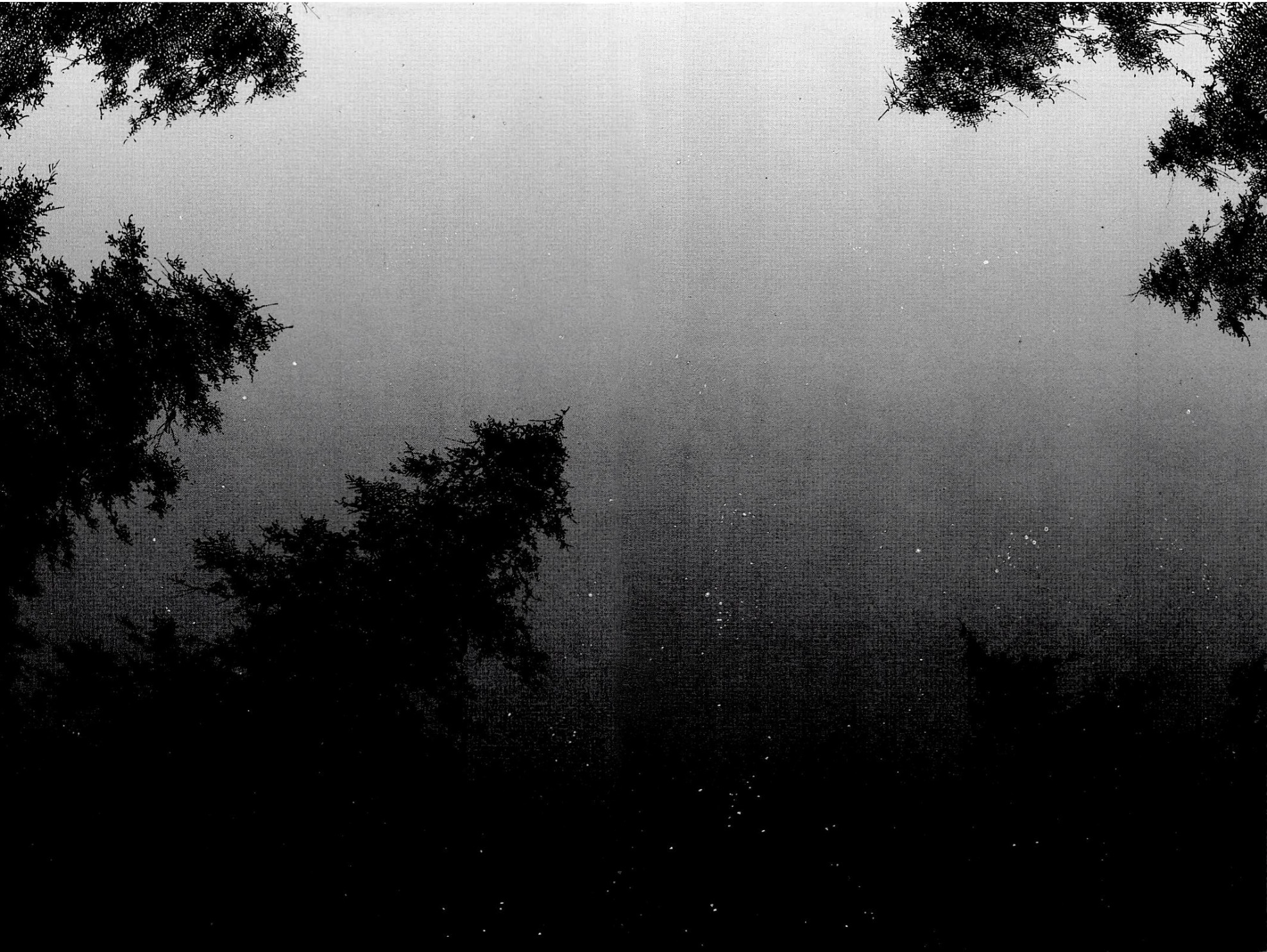 Read Vagabond (IT) Manga Online