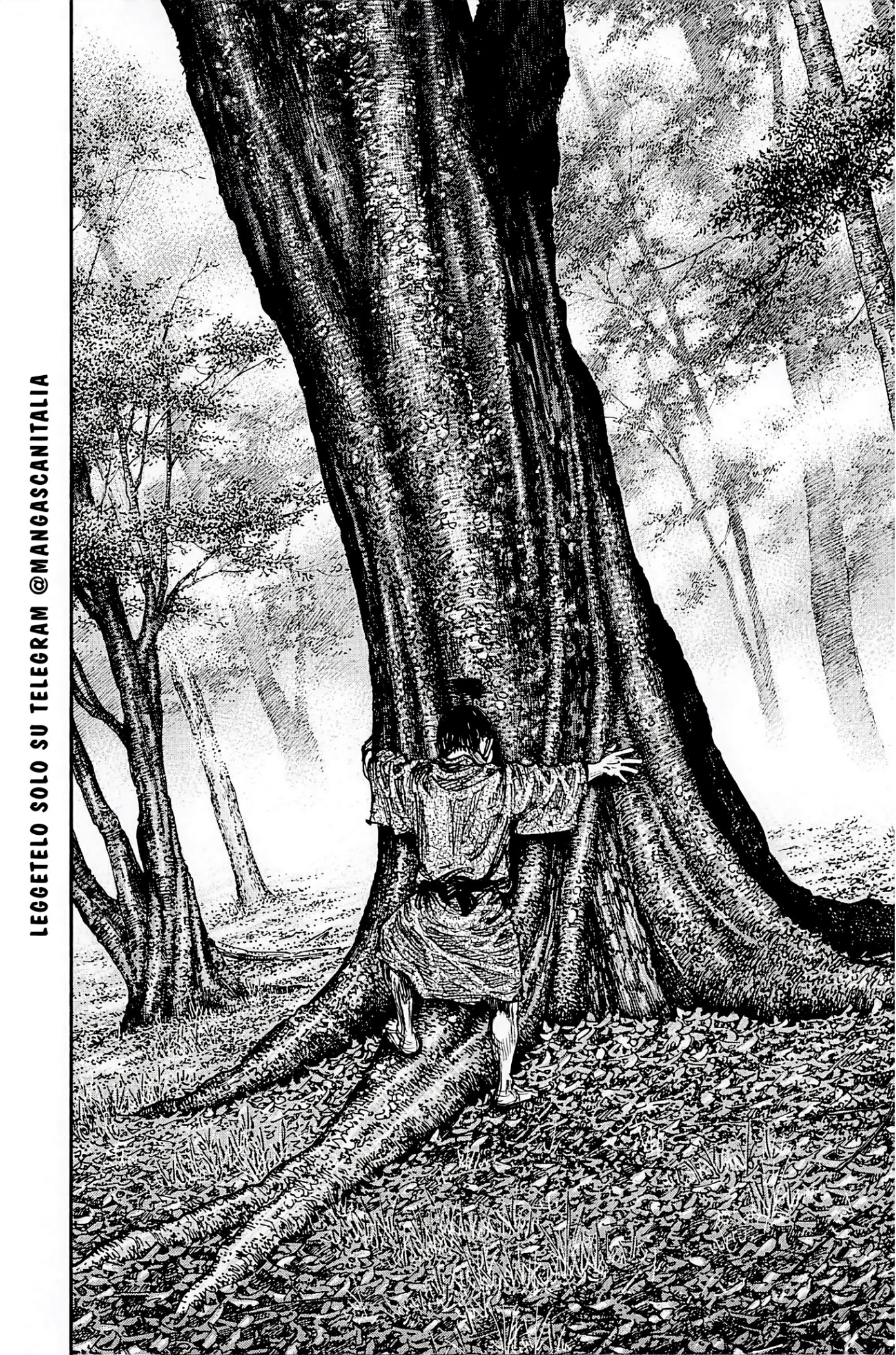 Read Vagabond (IT) Manga Online