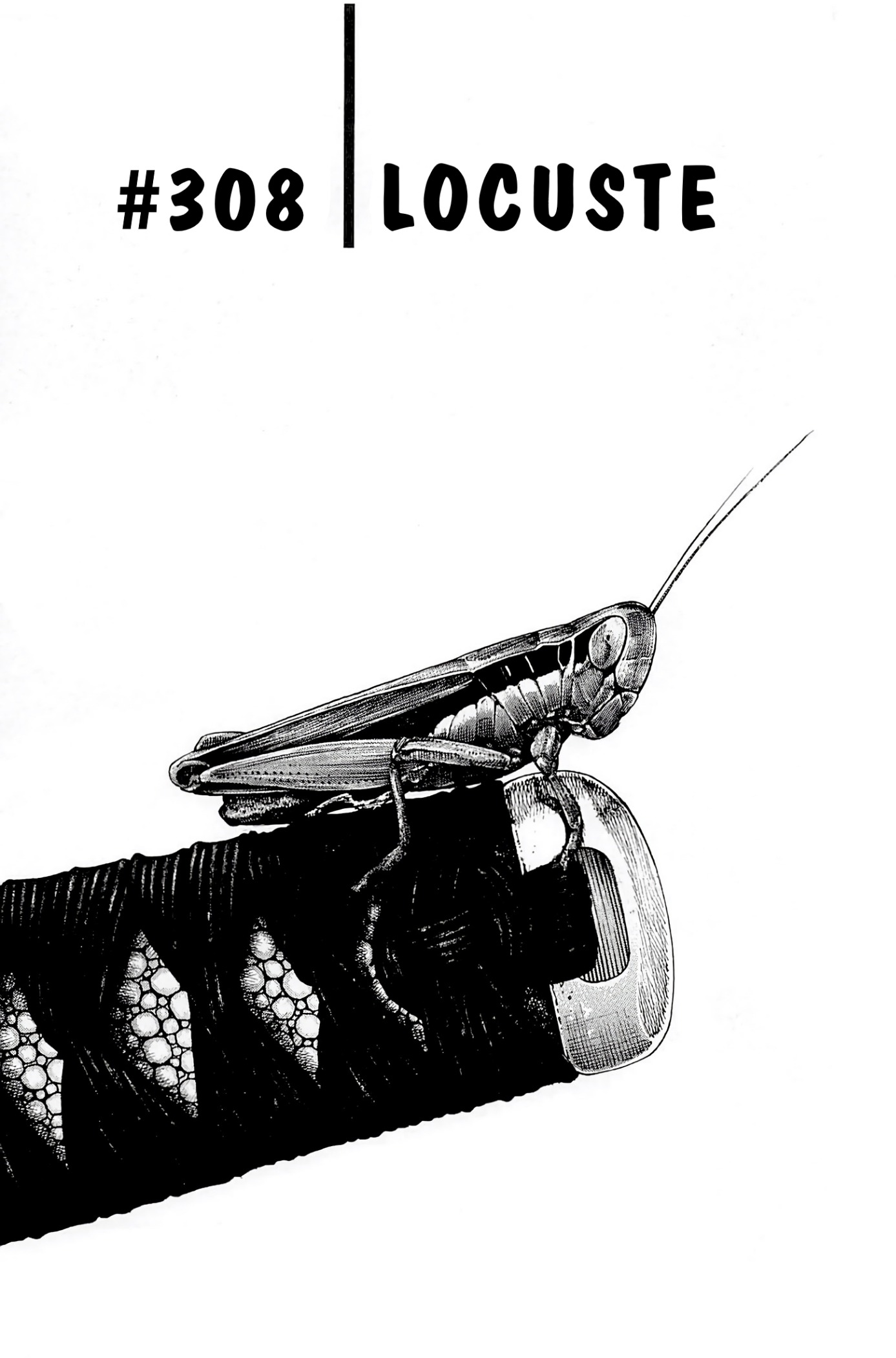 Read Vagabond (IT) Manga Online