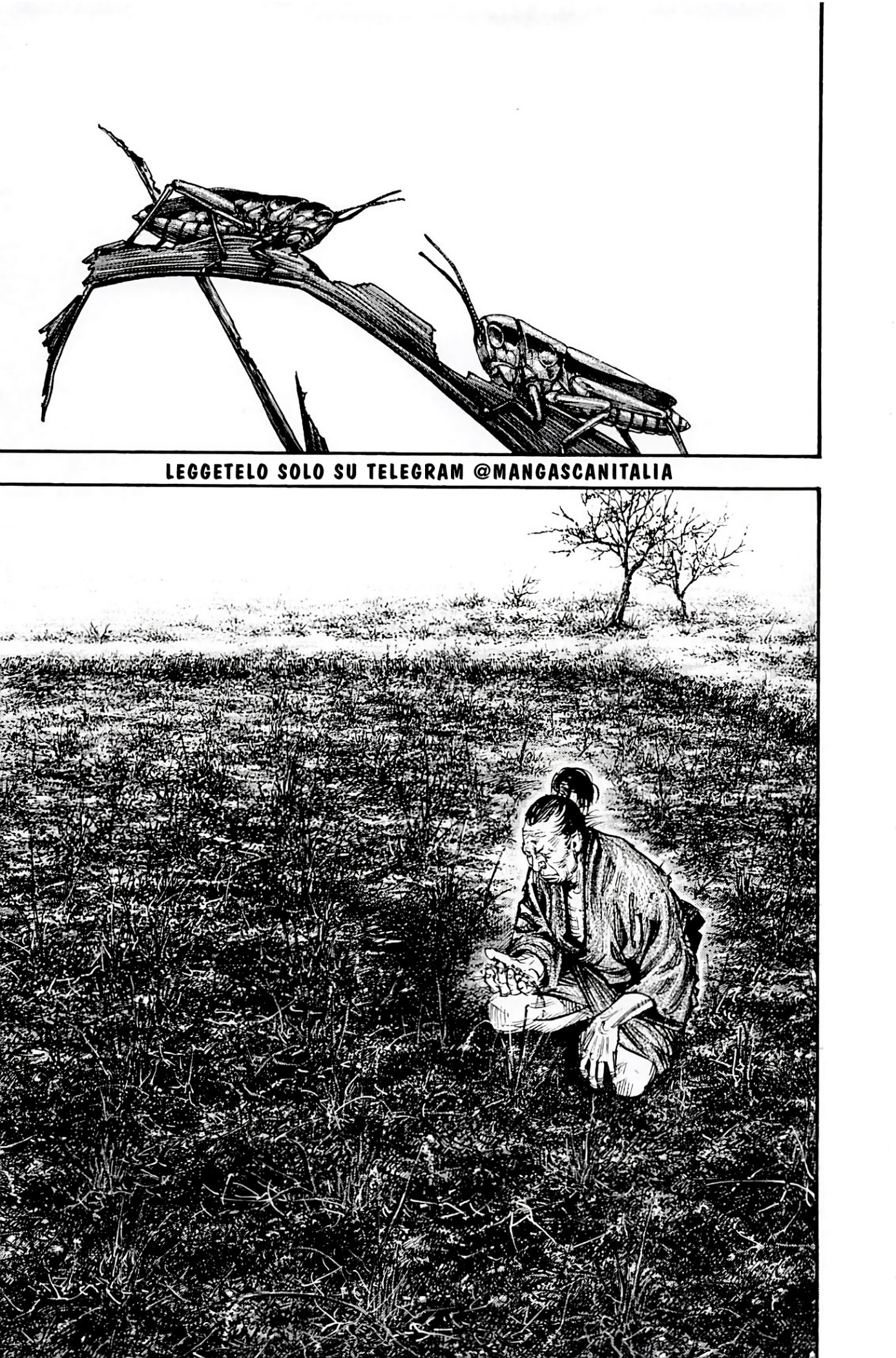 Read Vagabond (IT) Manga Online