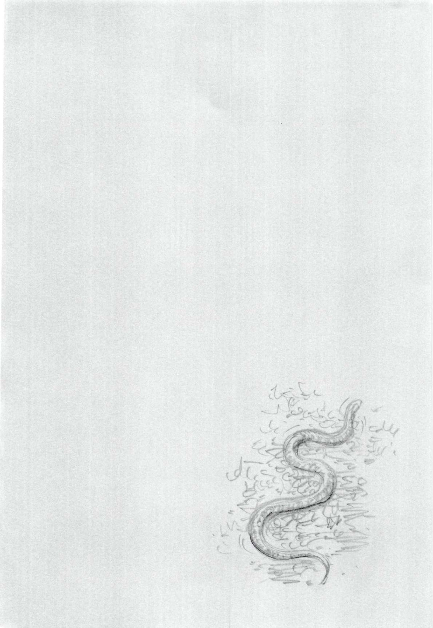 Read Vagabond (IT) Manga Online