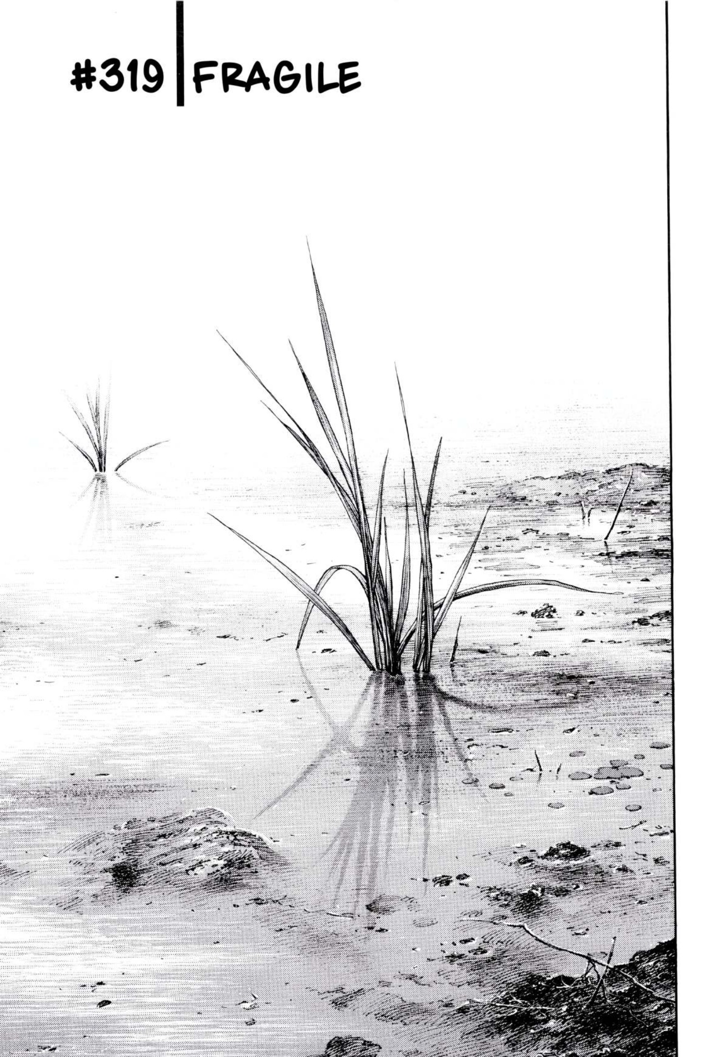 Read Vagabond (IT) Manga Online